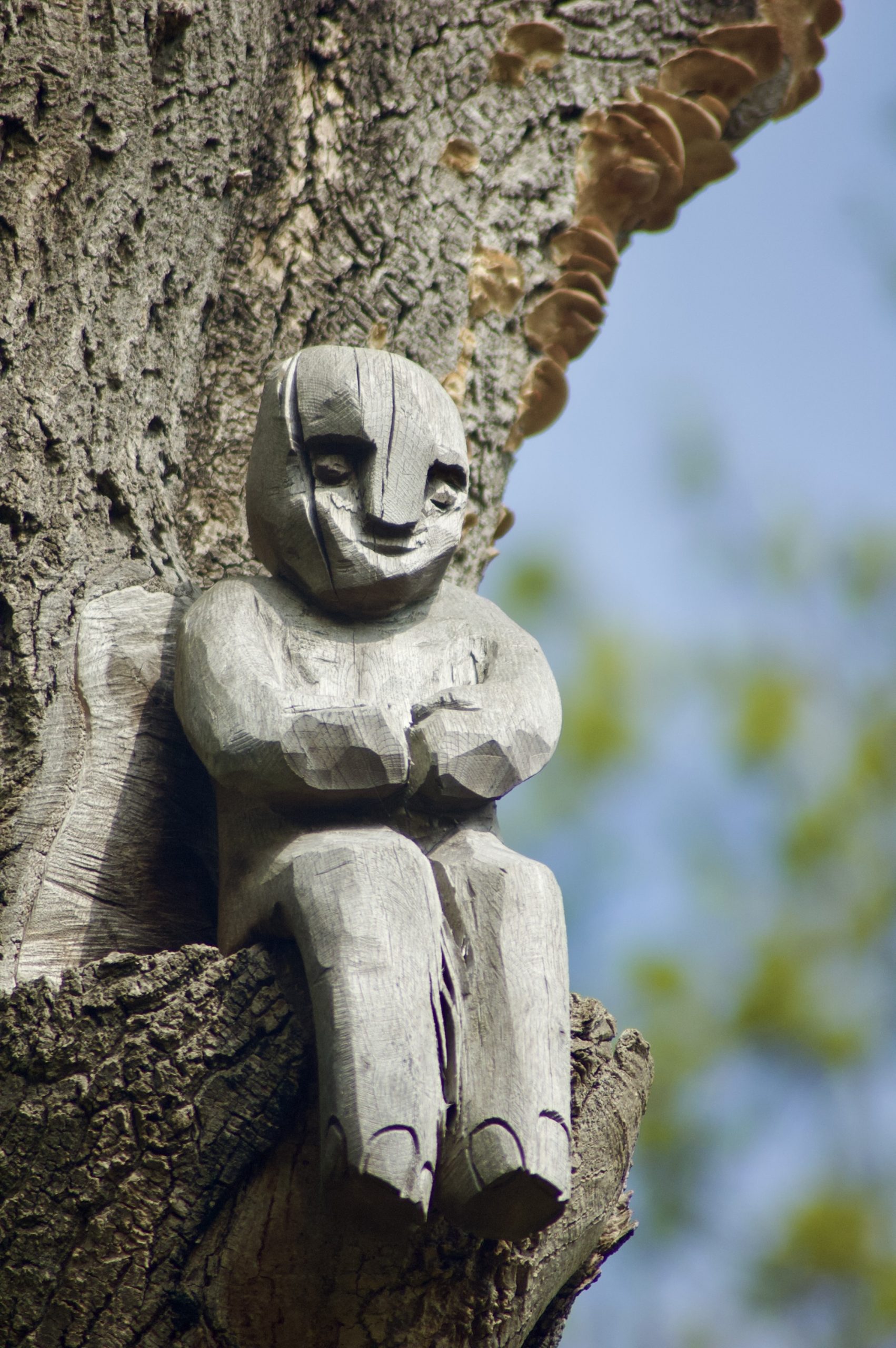 Tree Man