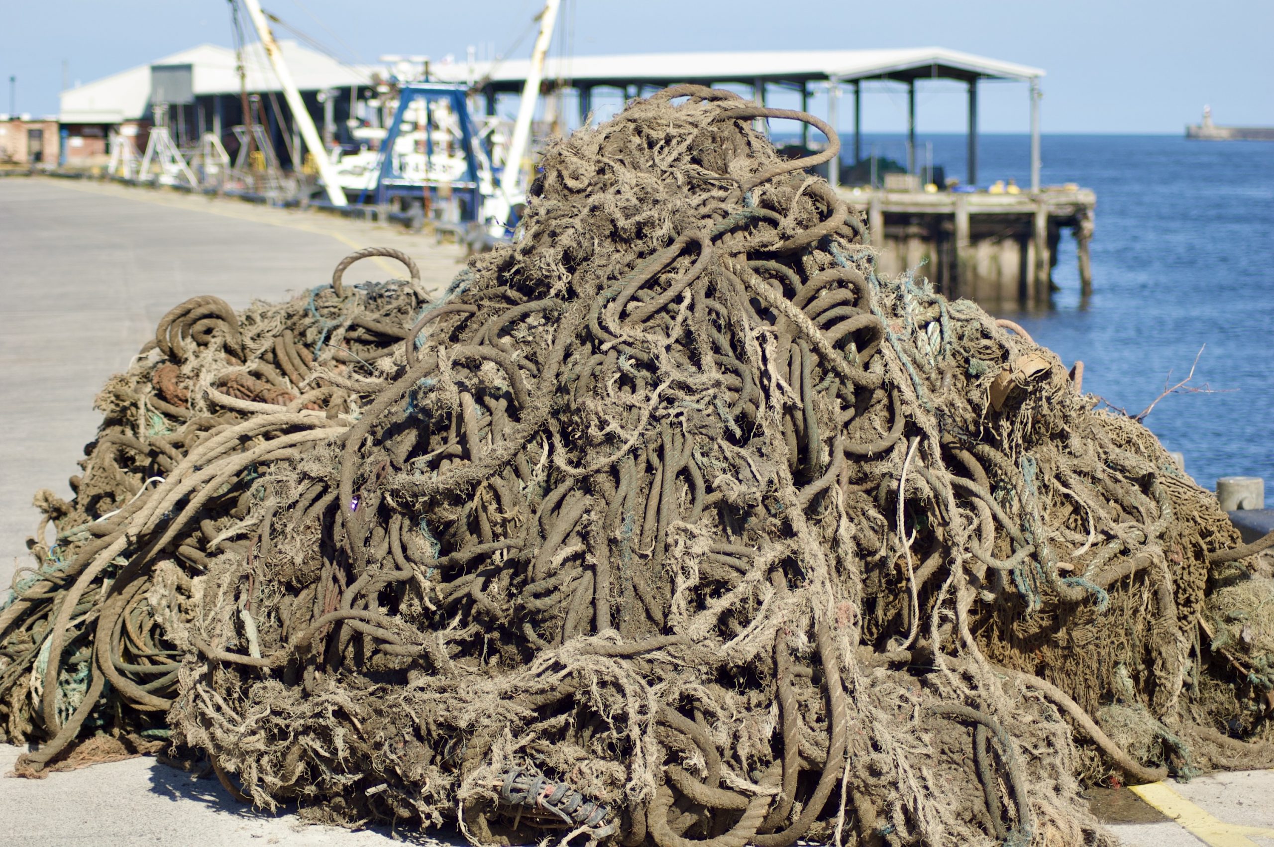 …for Old Rope