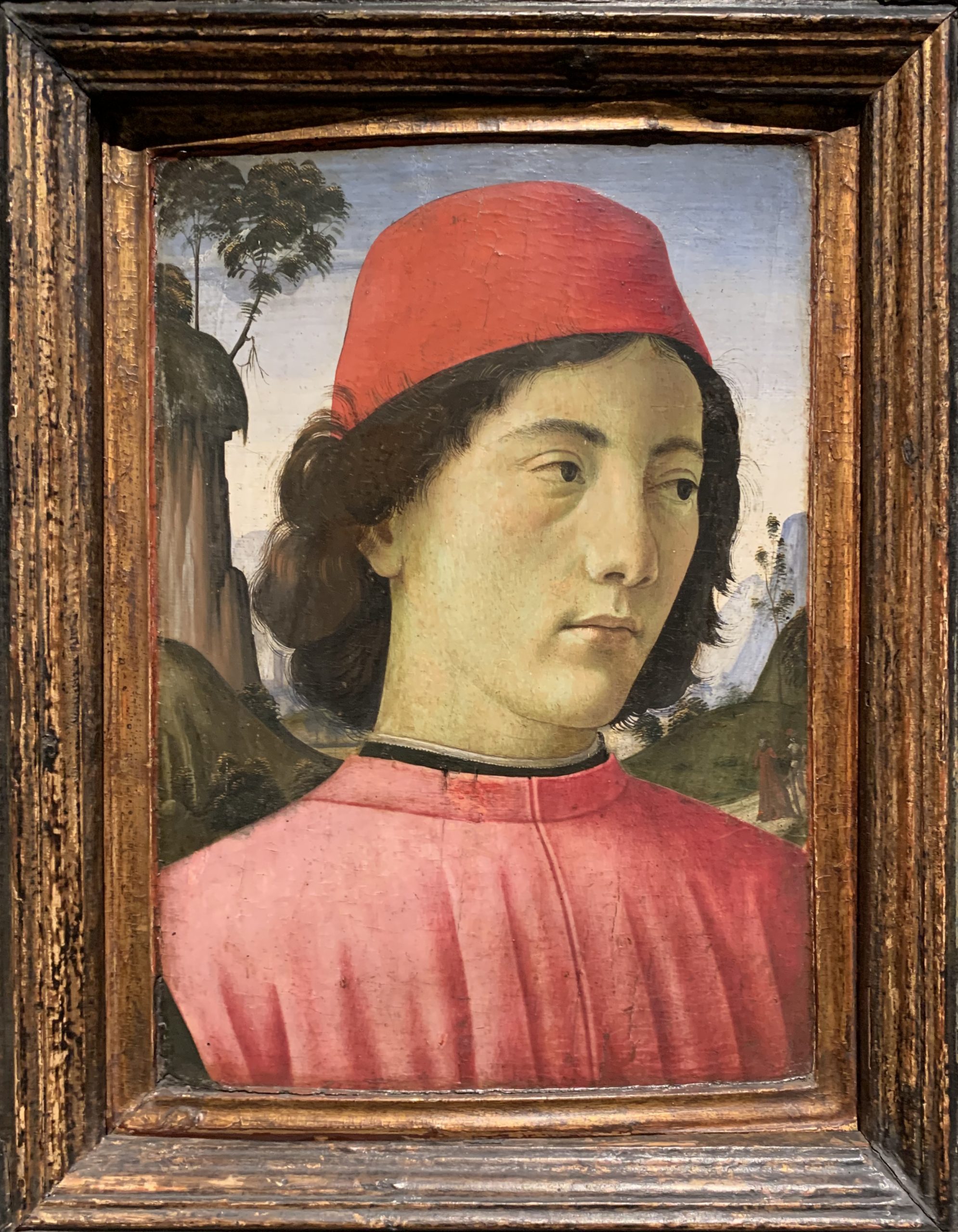 Portrait of a young Man