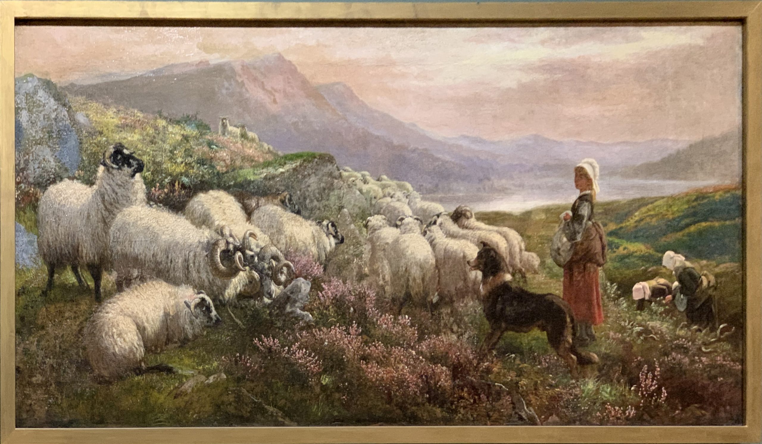 Wool Gathering
