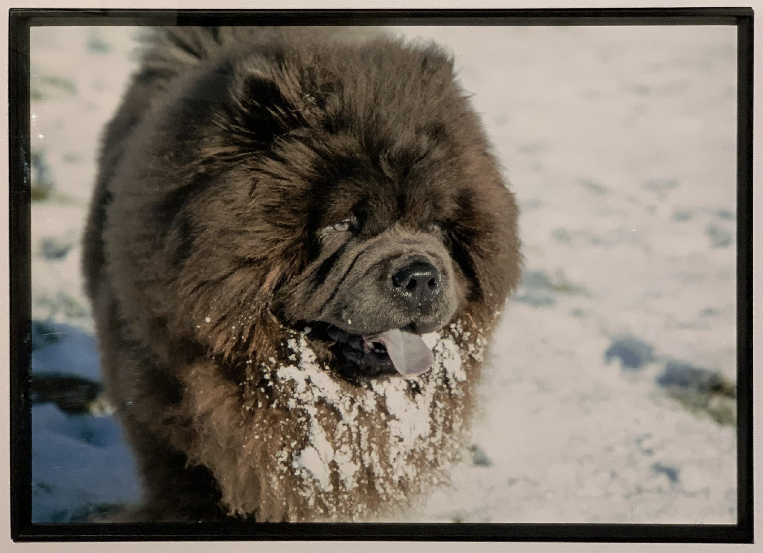 Winter is Coming
