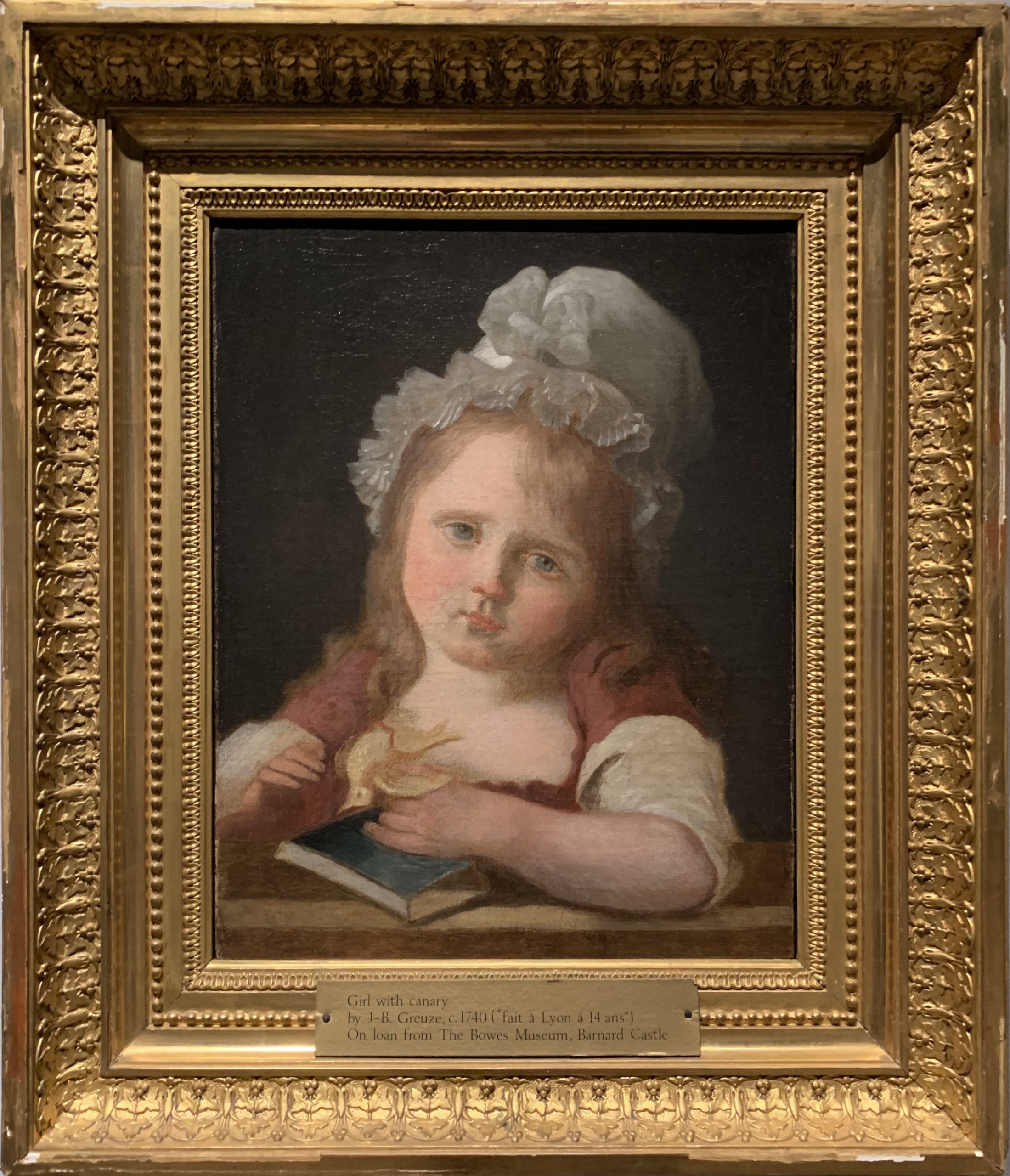 Girl with a Dead Canary