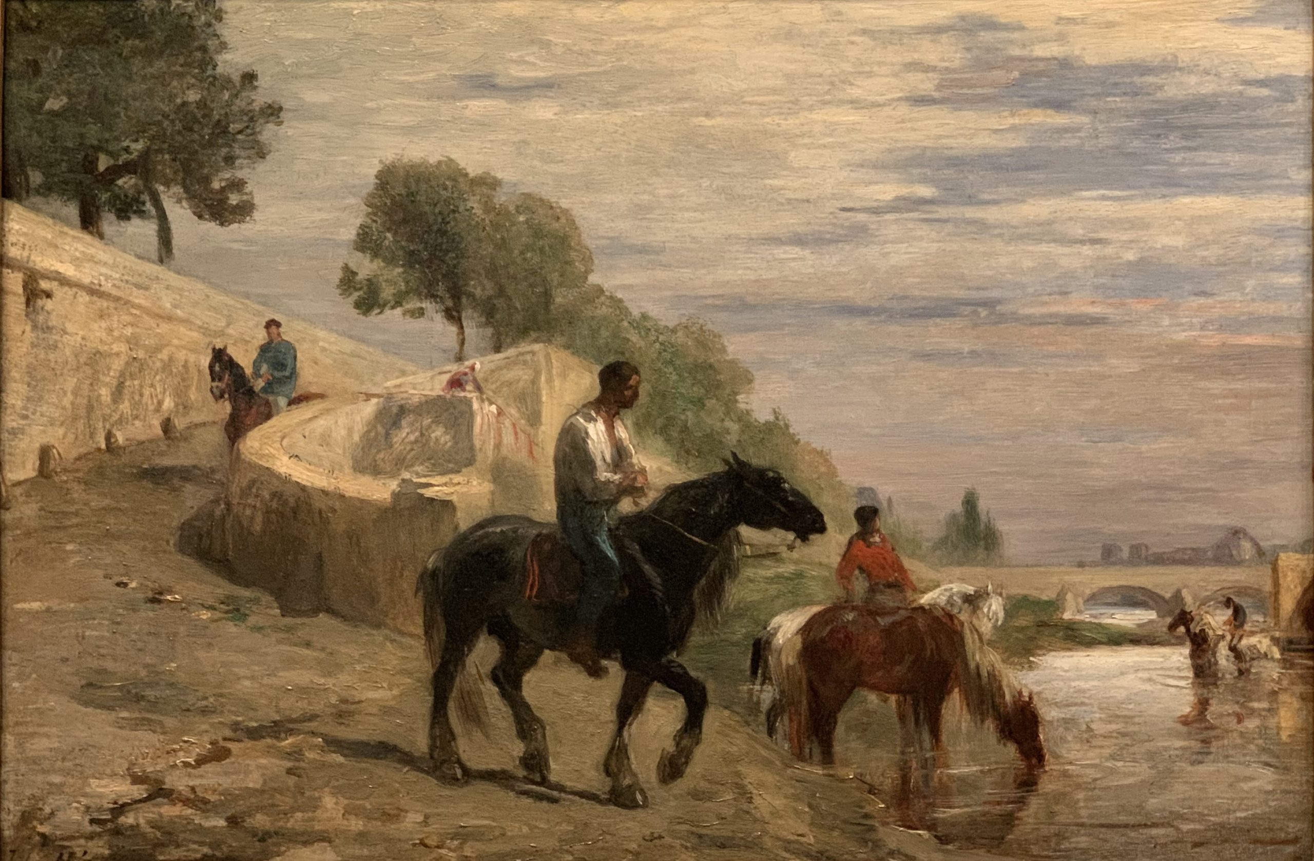 Horses Drinking