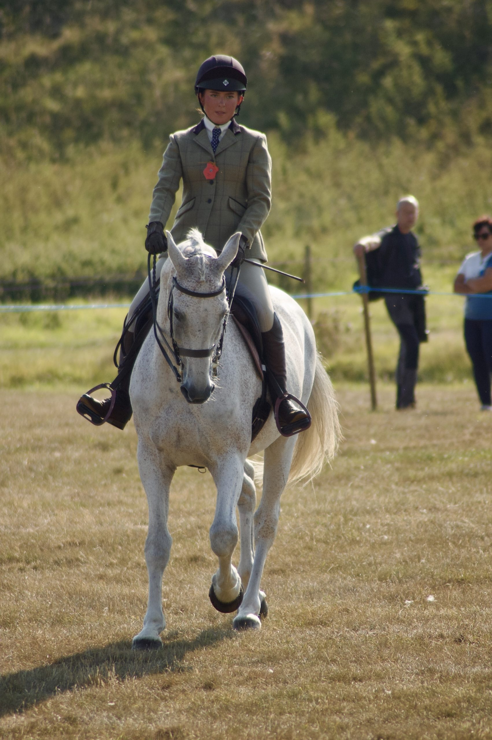 Horse Rider