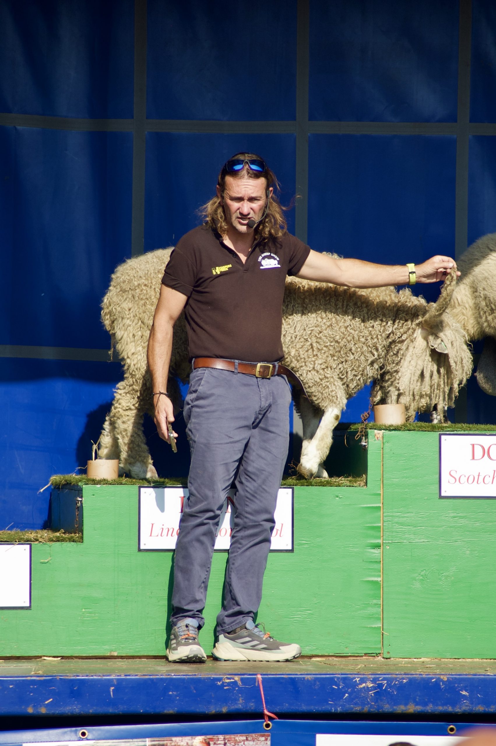 The Sheep Show