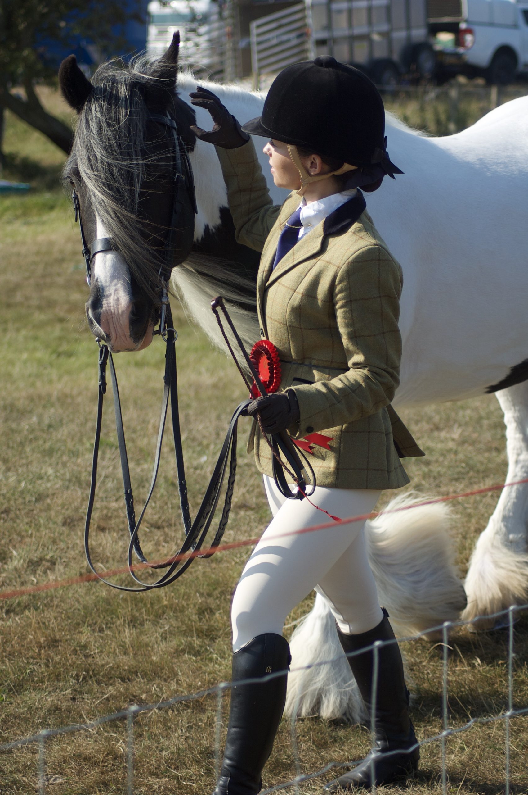 Girl with Horse