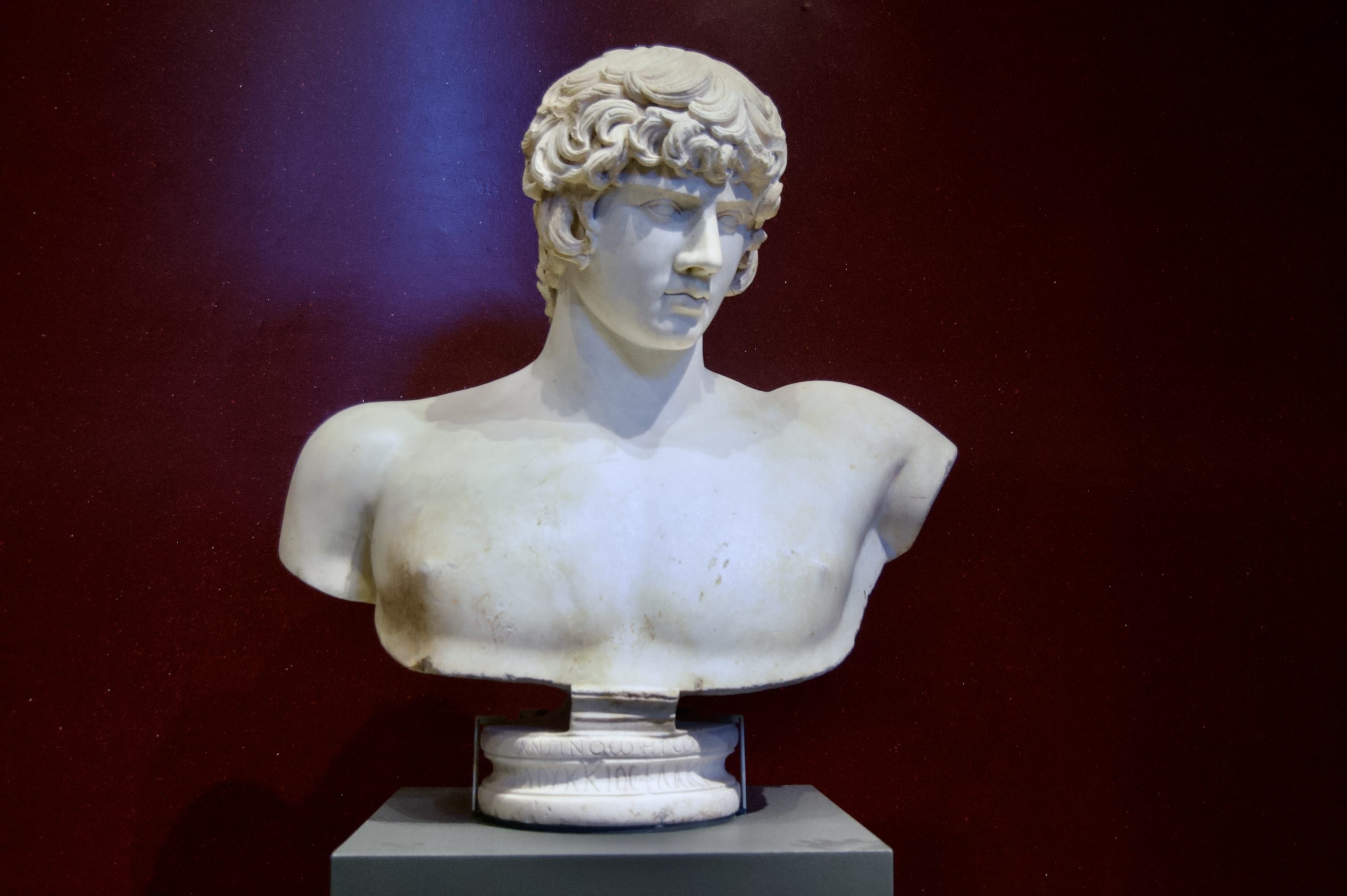 Statue head of Antinous
