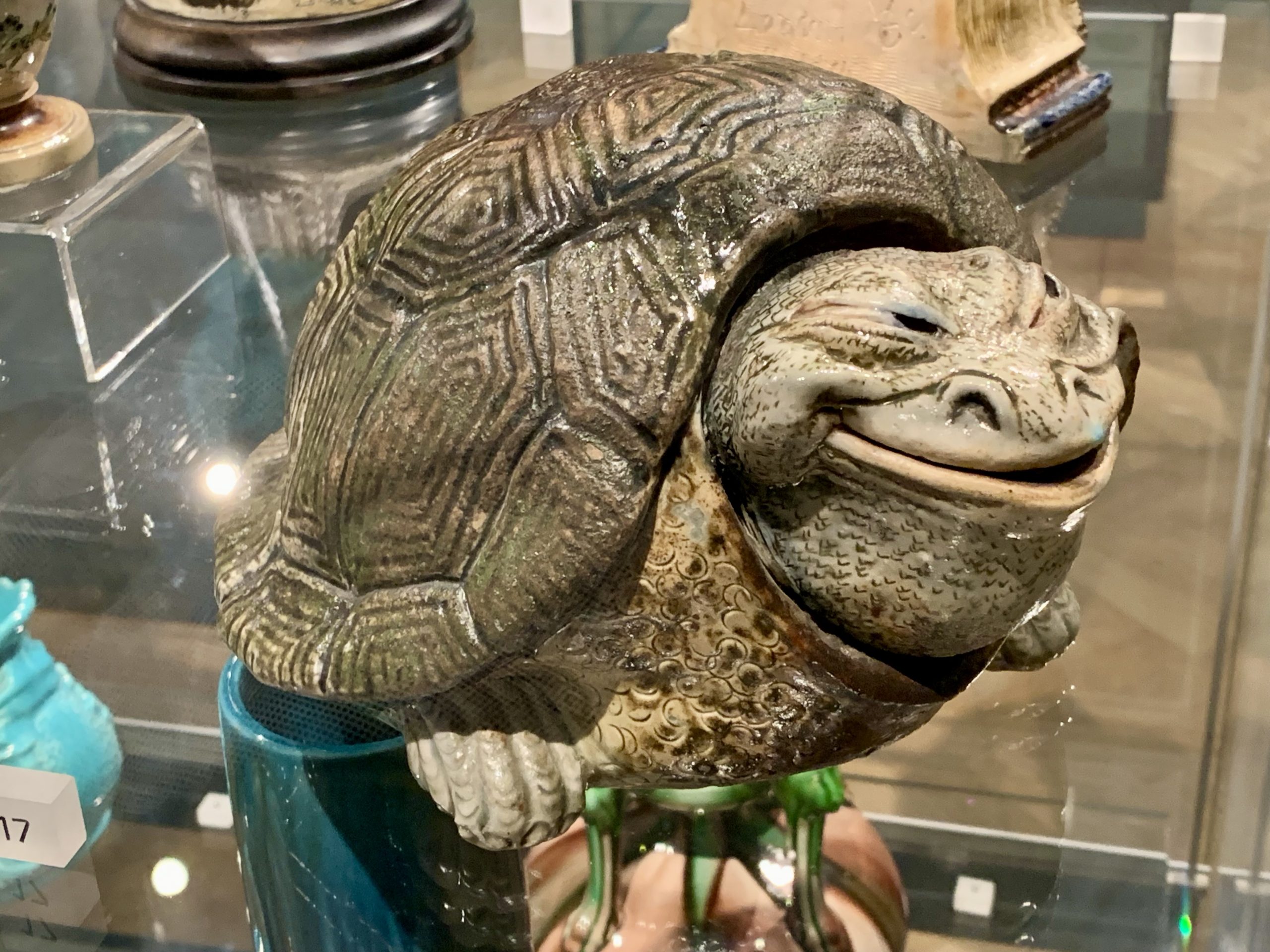 Tortoise