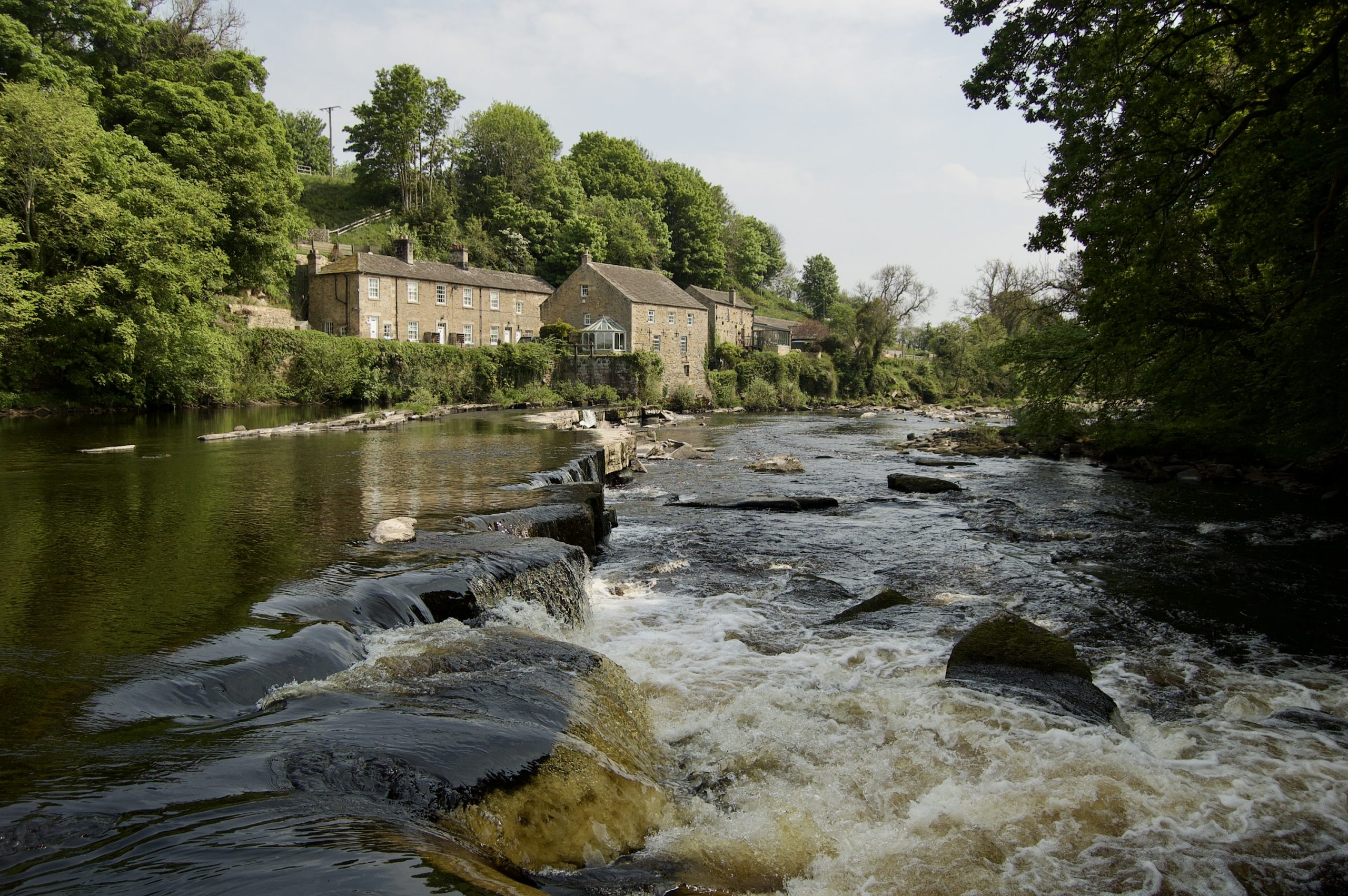 River Tees