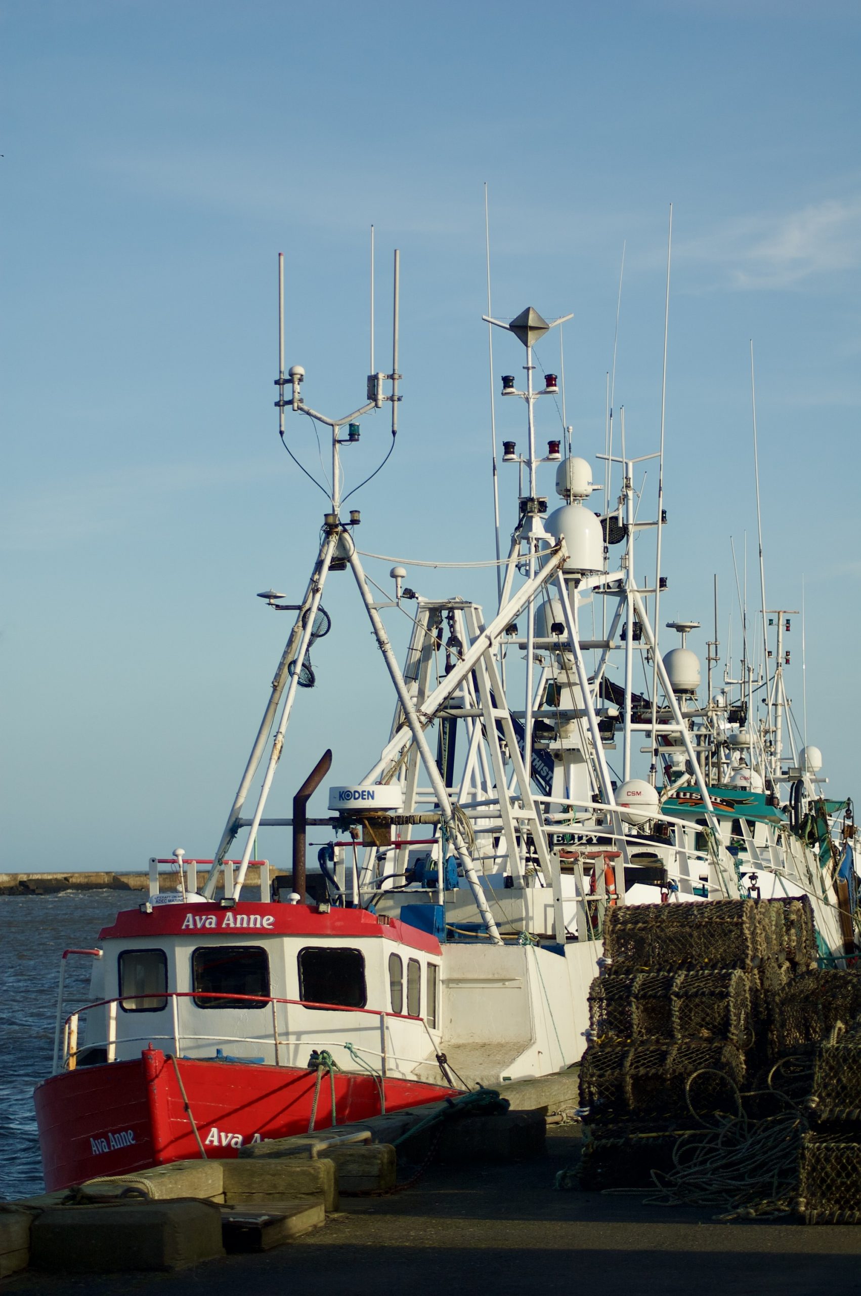 Pots & Boats
