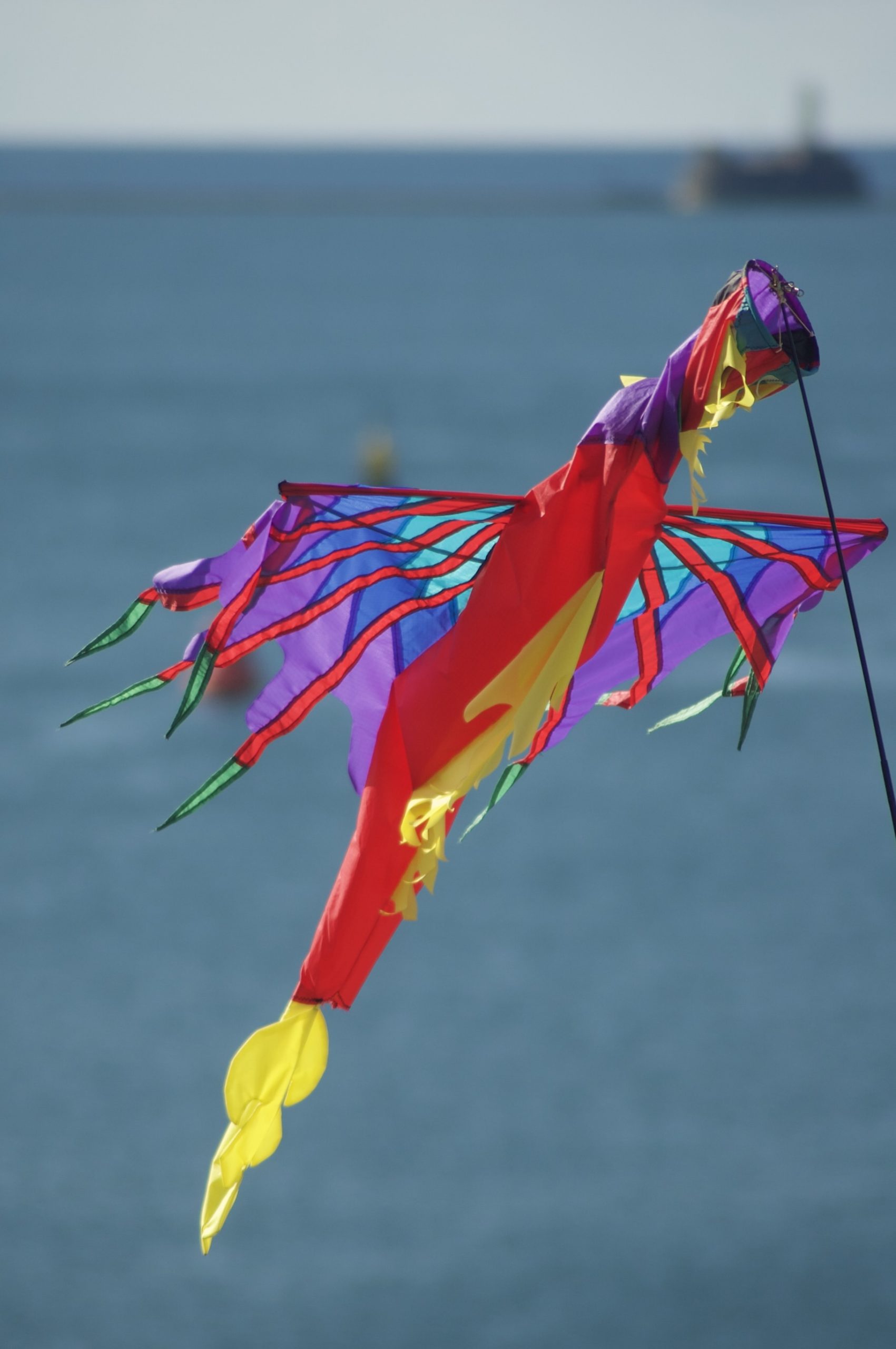 Plymouth Dragon