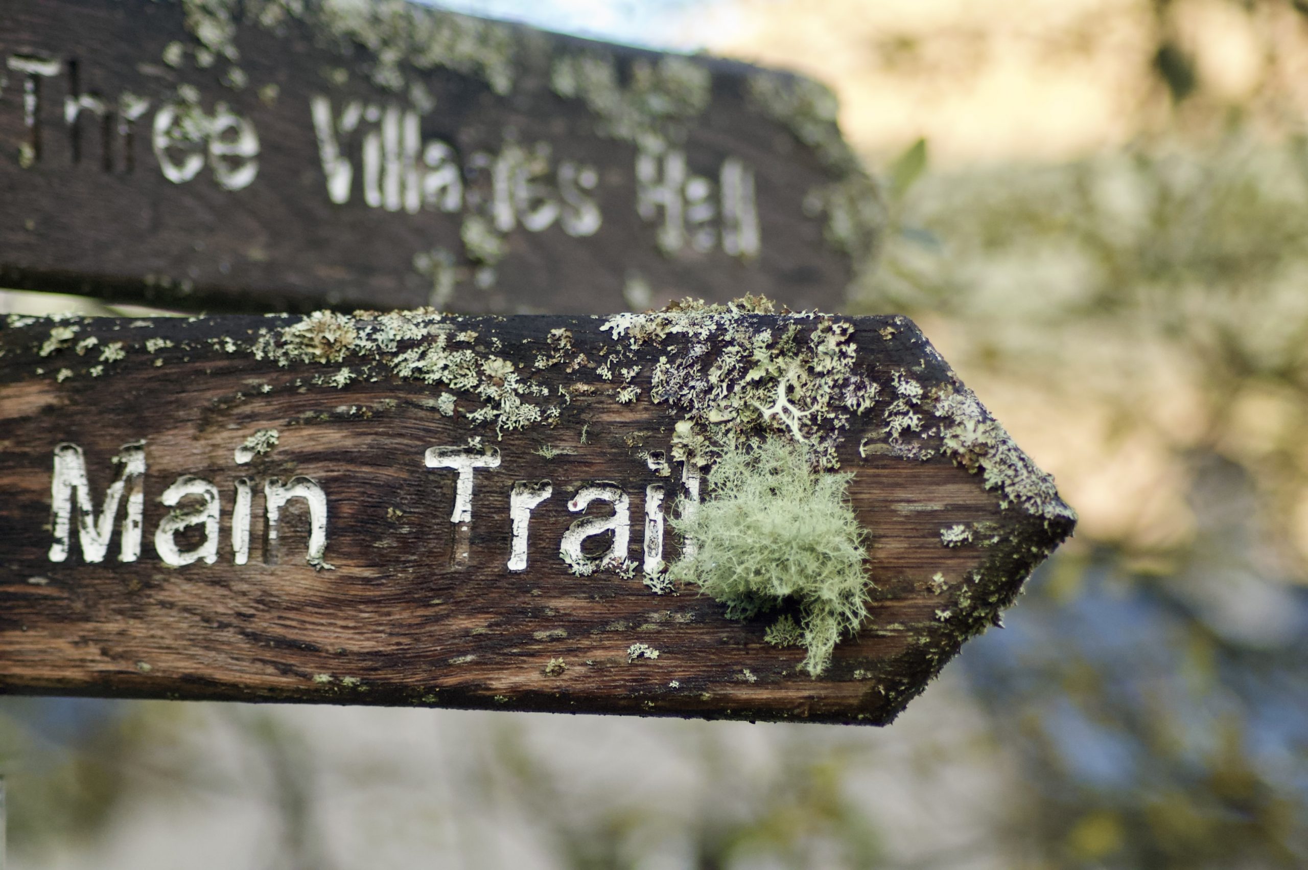 Main Trail