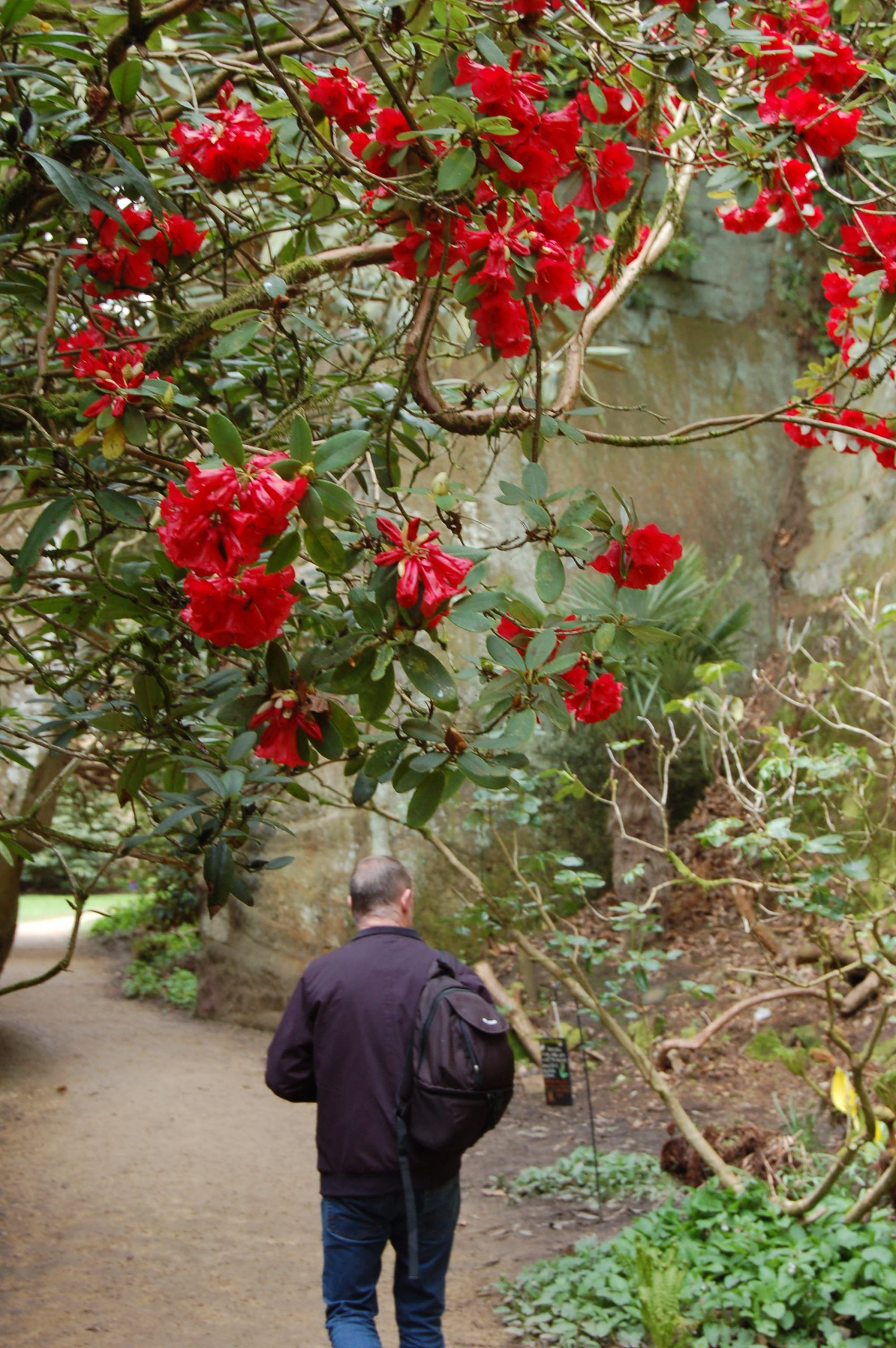 The Quarry Garden