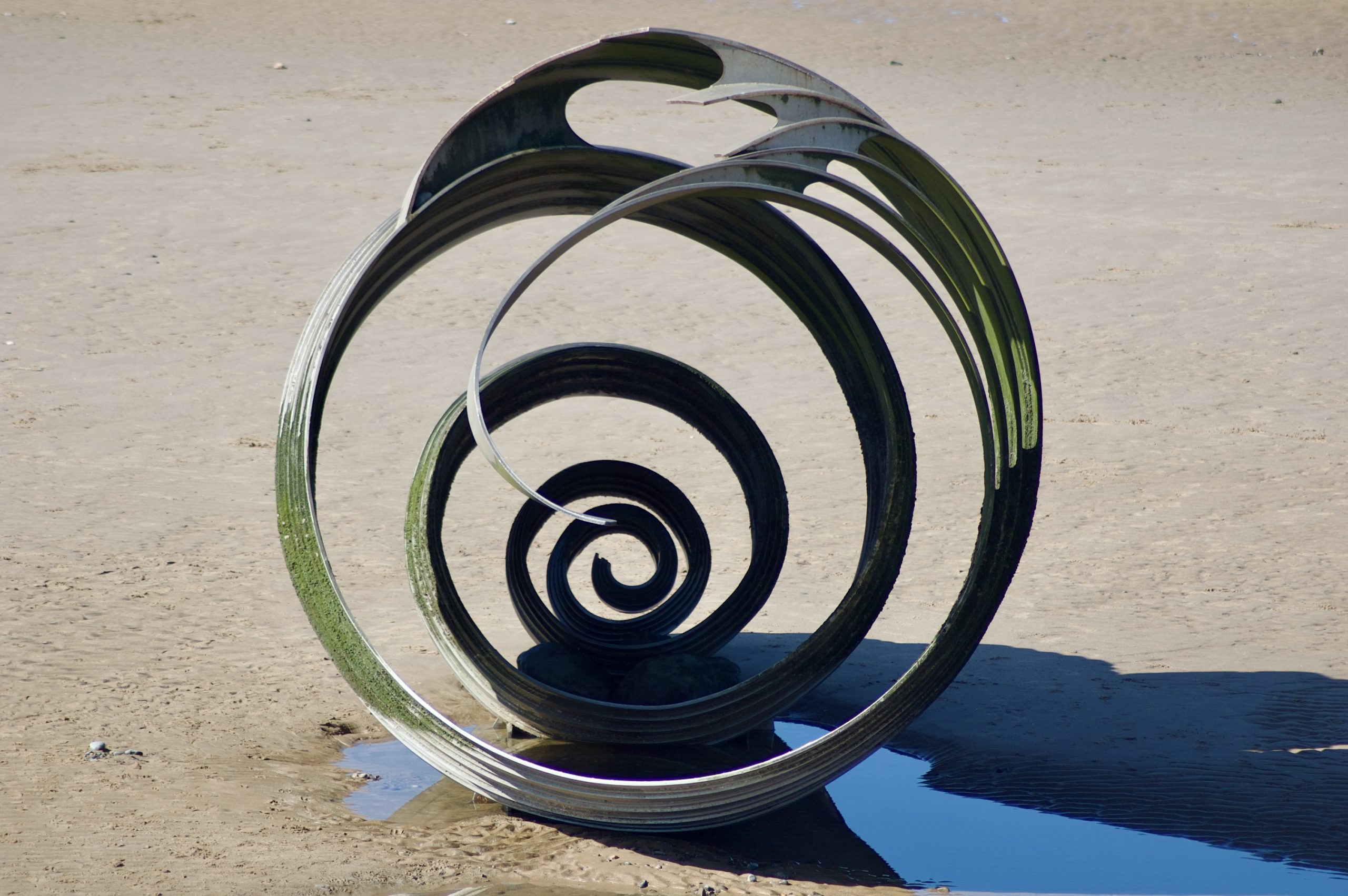 Mary’s Shell
