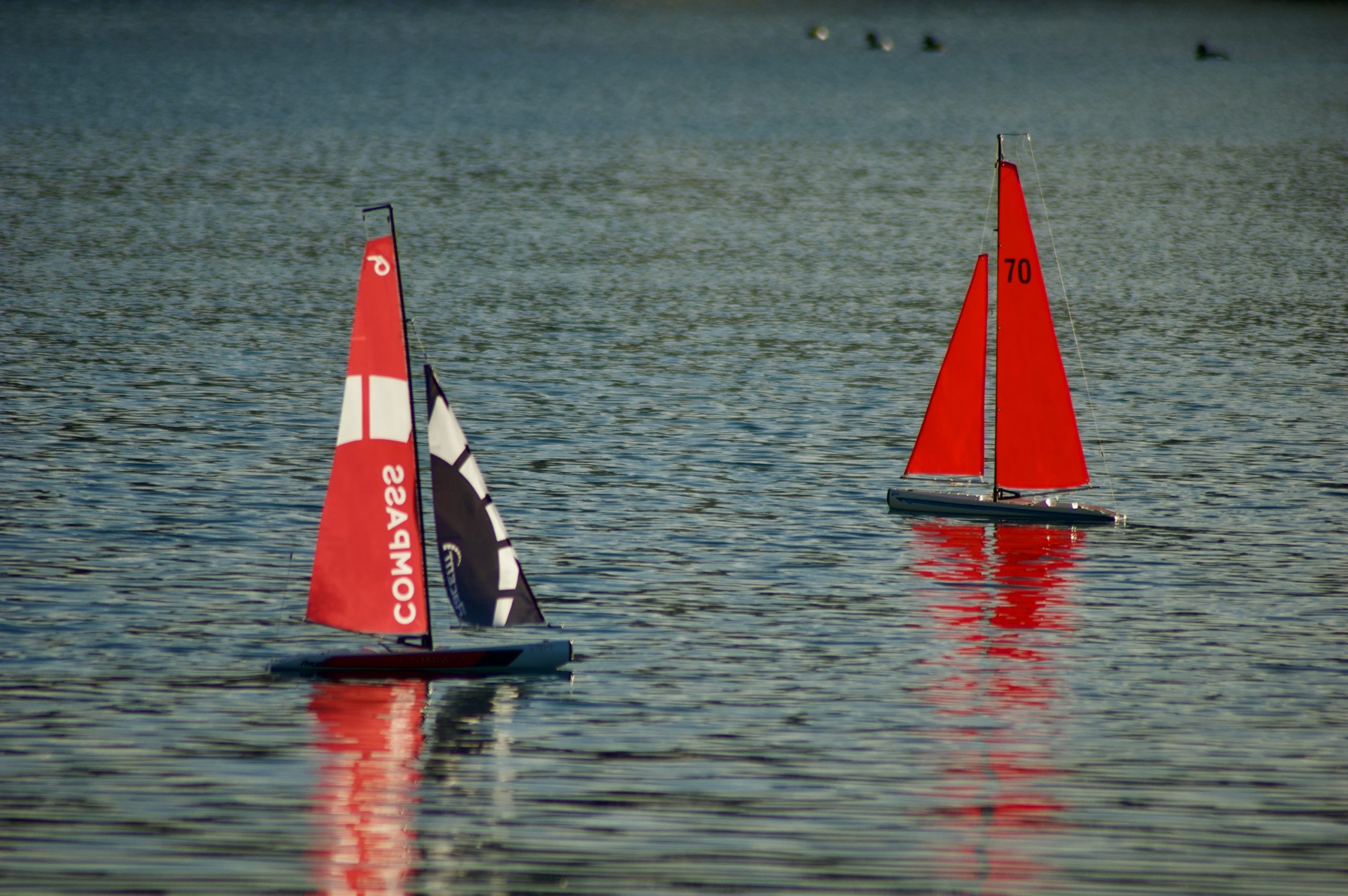 Pond Yachts