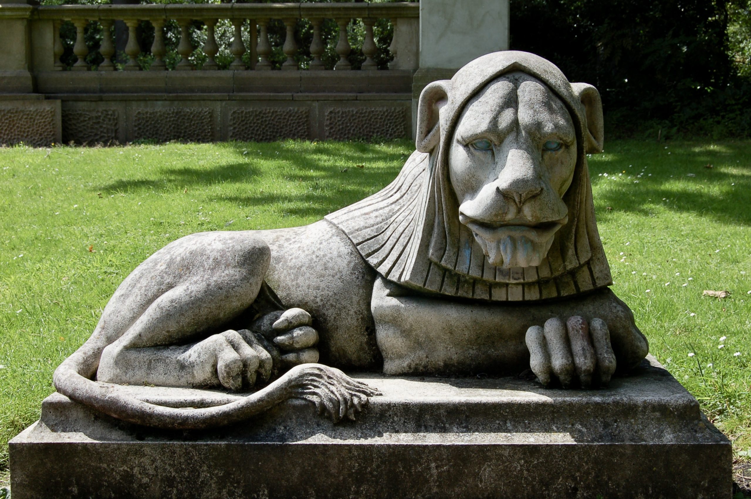 Park Lion