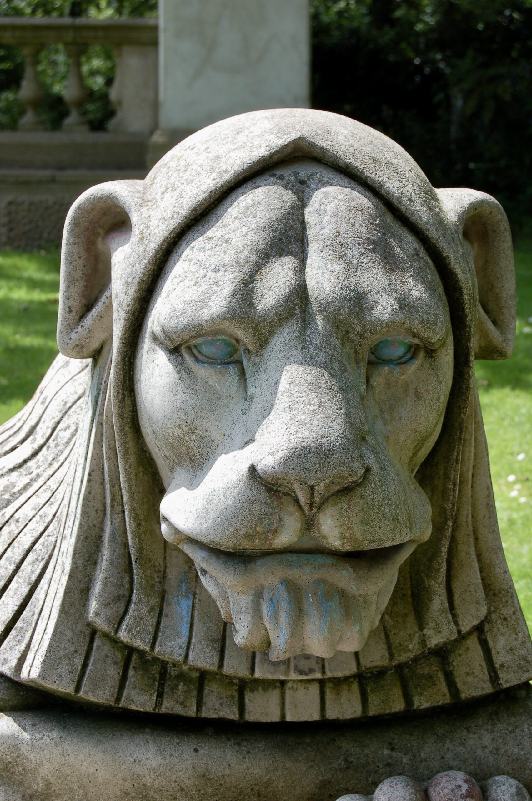 Park Lion