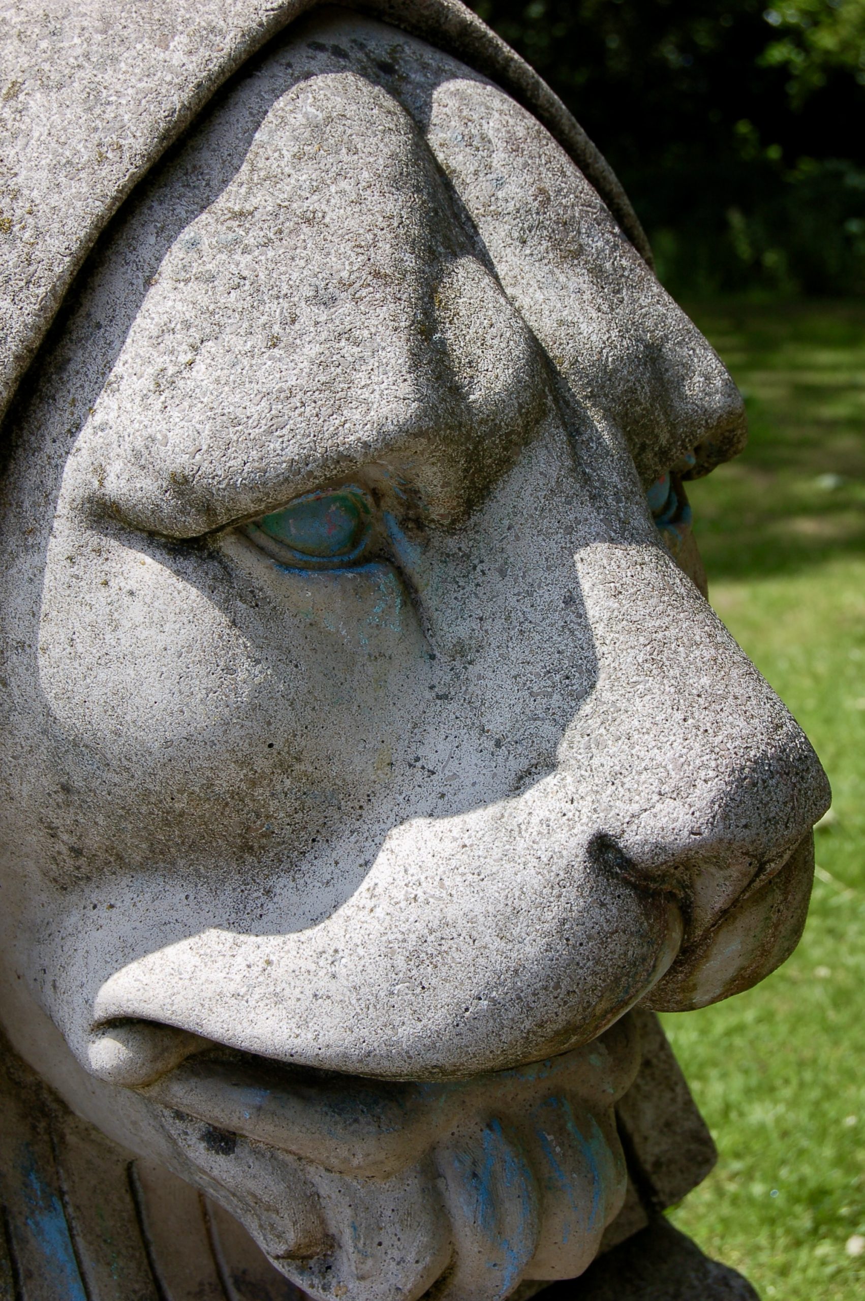 Park Lion