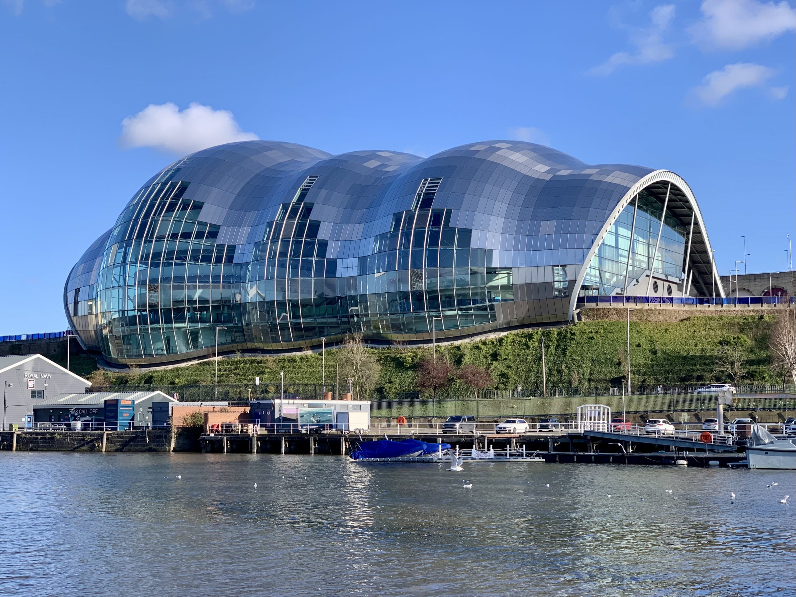 The Sage