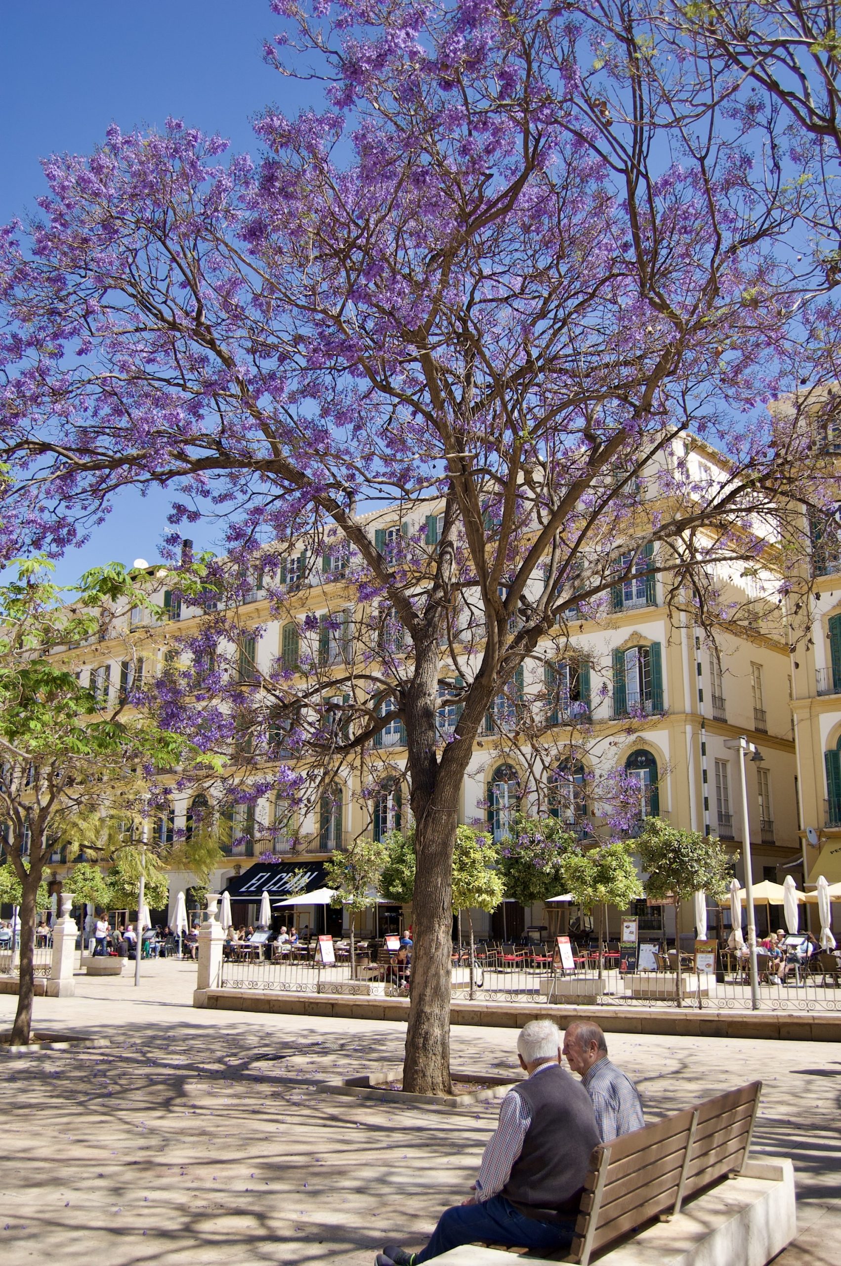 Plaza de la Merced