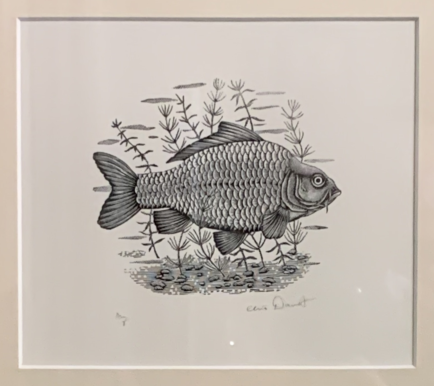Carp