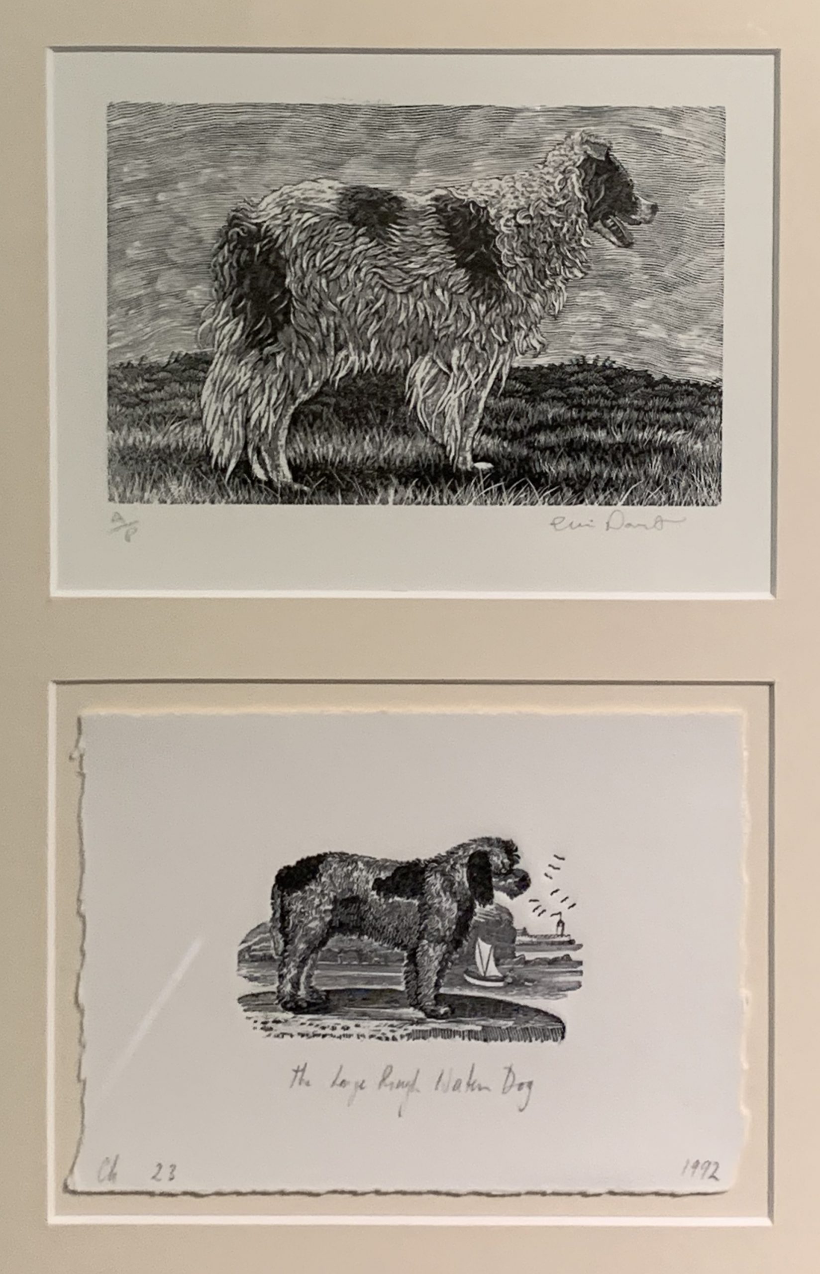Dogs