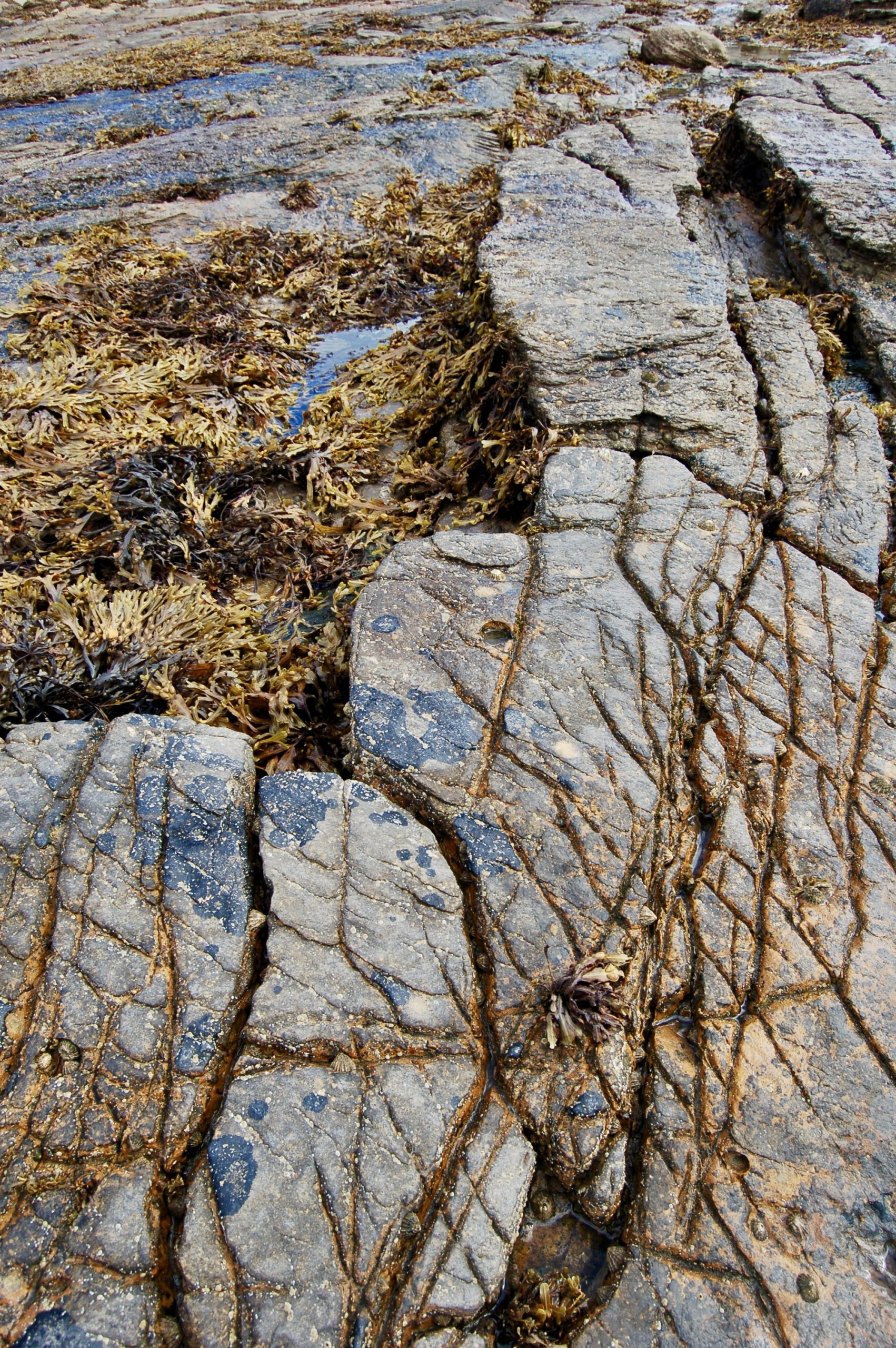 St Mary’s Rocks