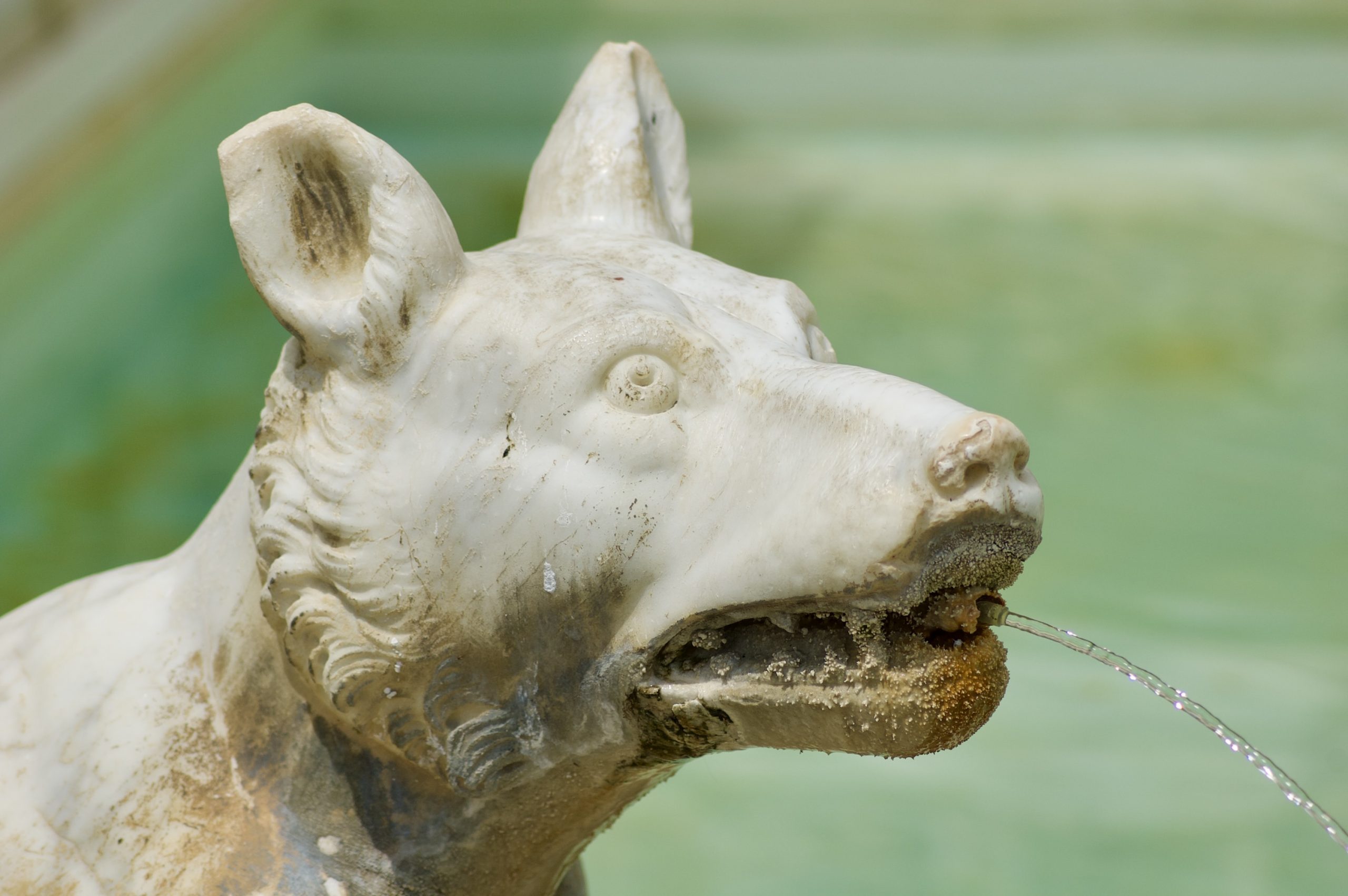 Fonte Gaia