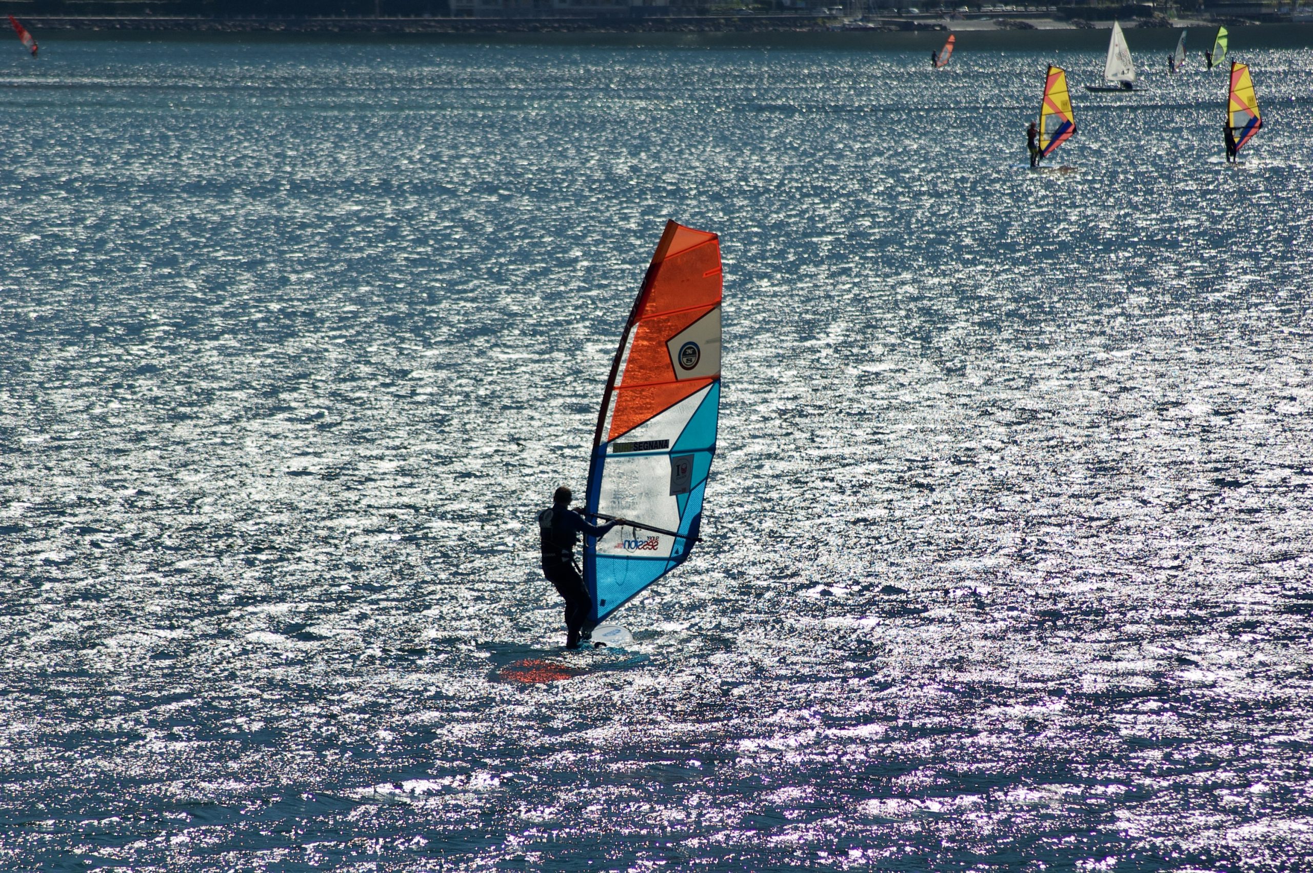 Windsurfer