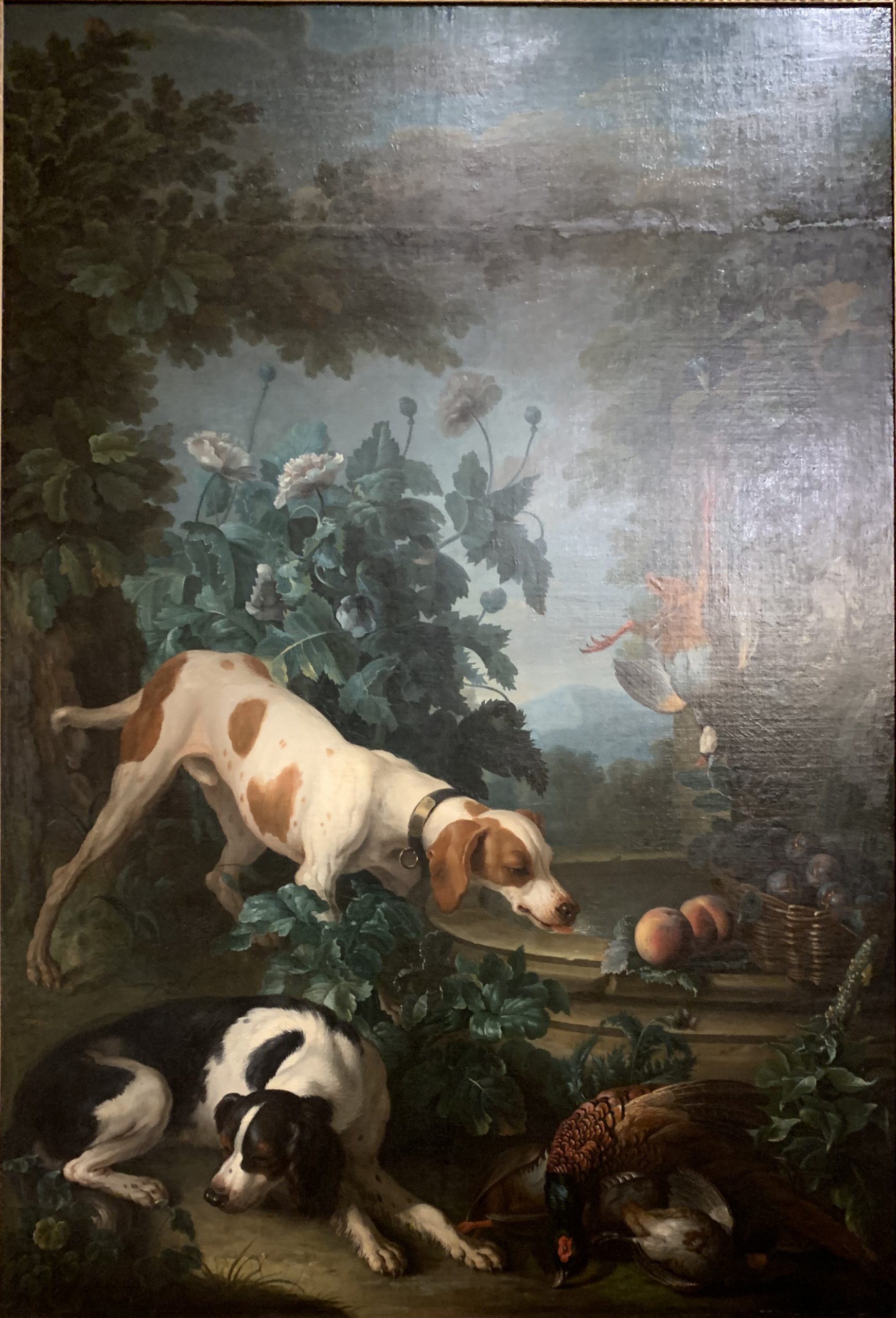 Two Dogs and Dead Game by a Fountain