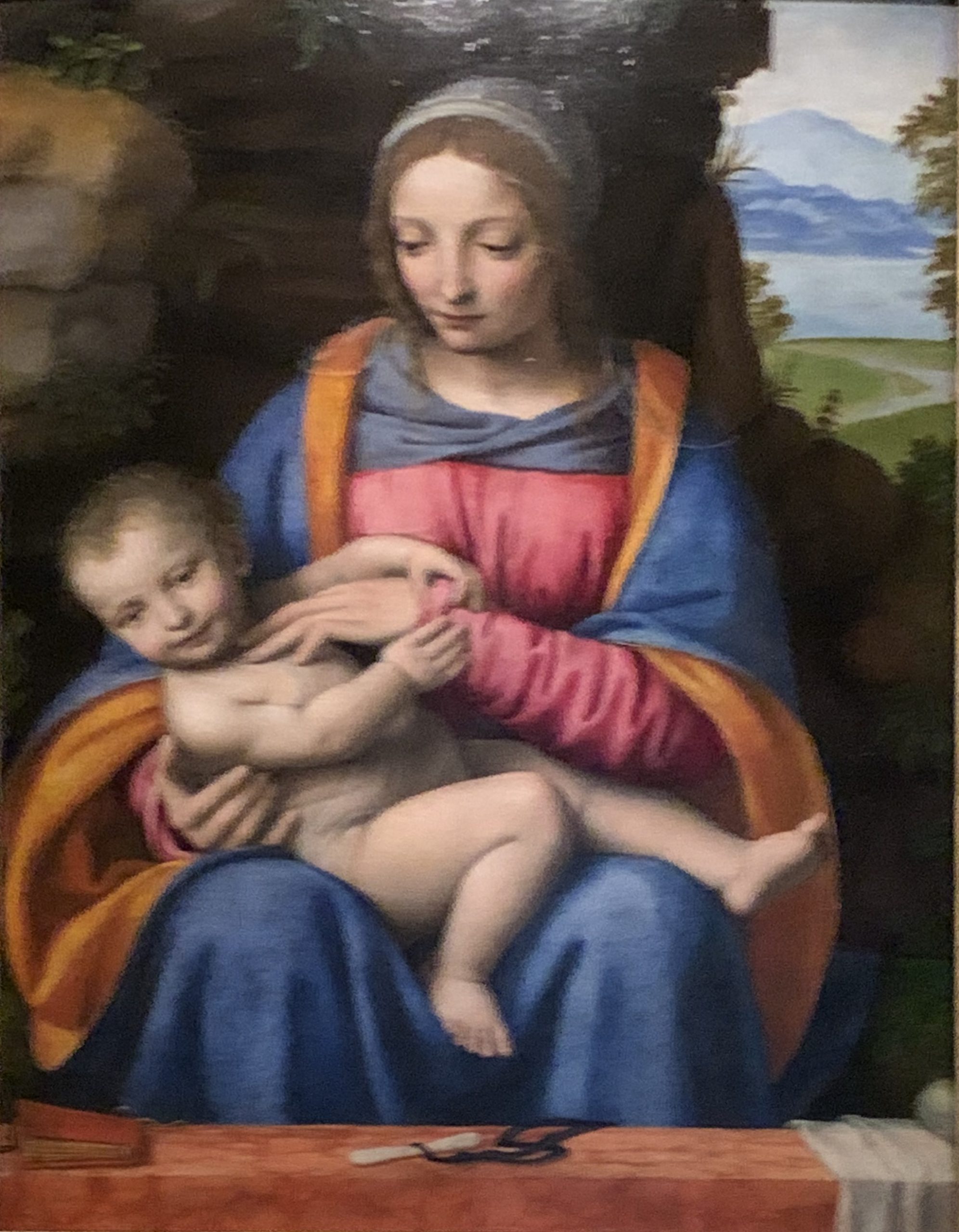 The Virgin and Child in a Landscape