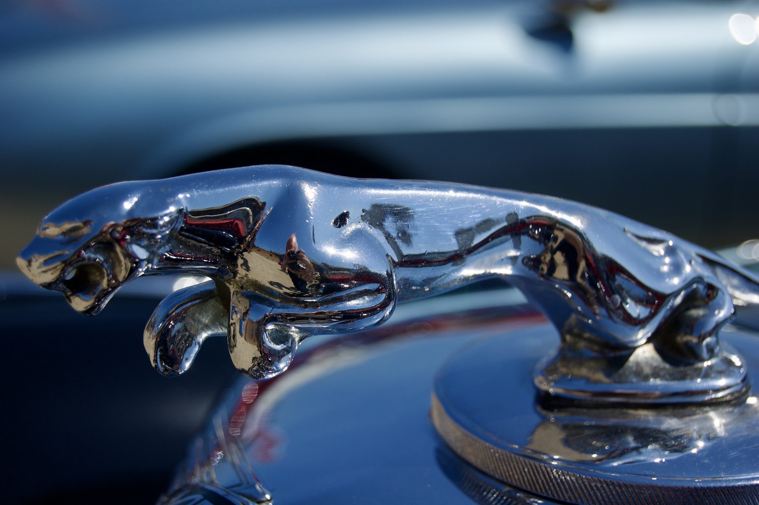 Jaguar Mascot