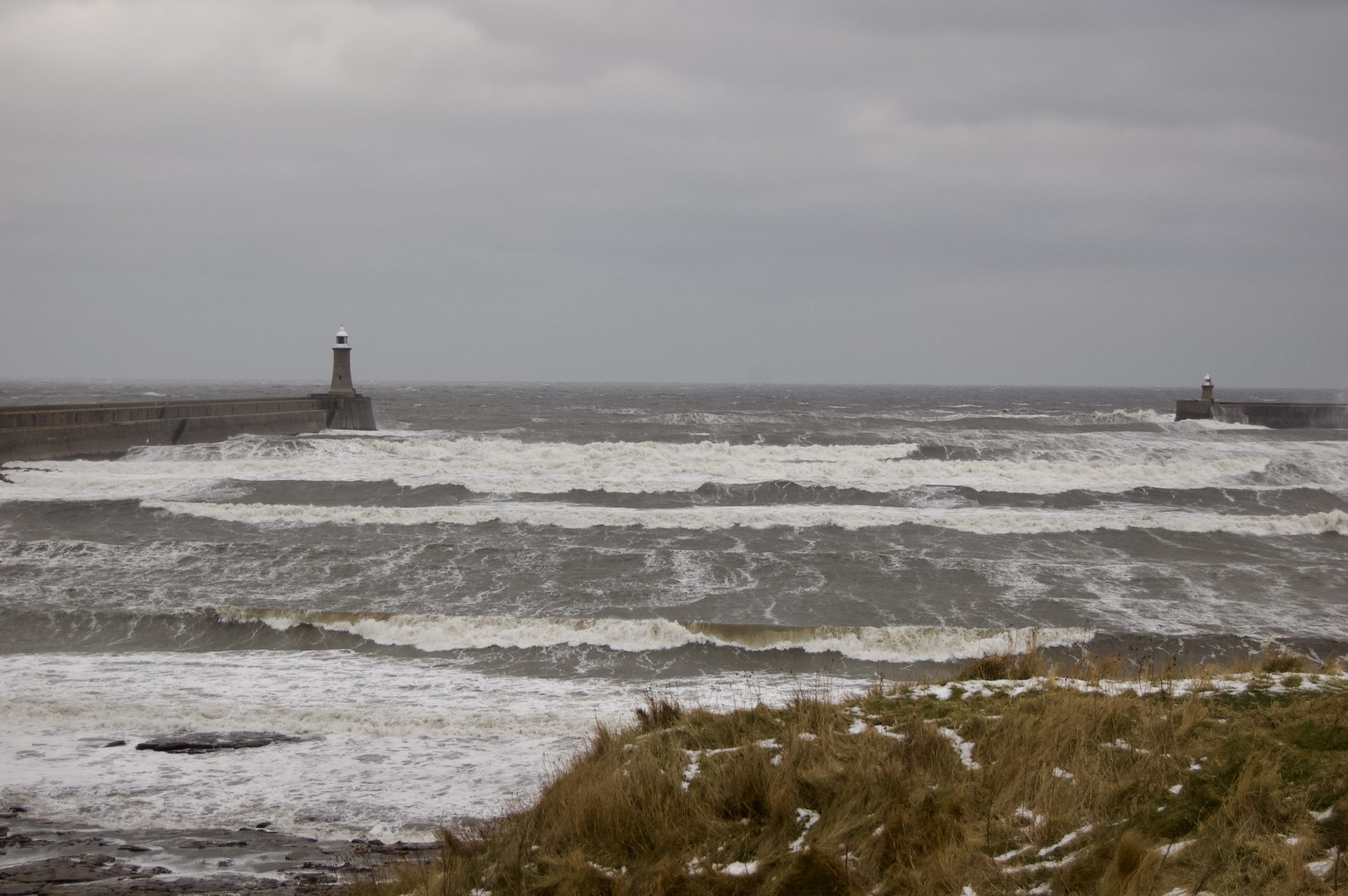 Beast from the East