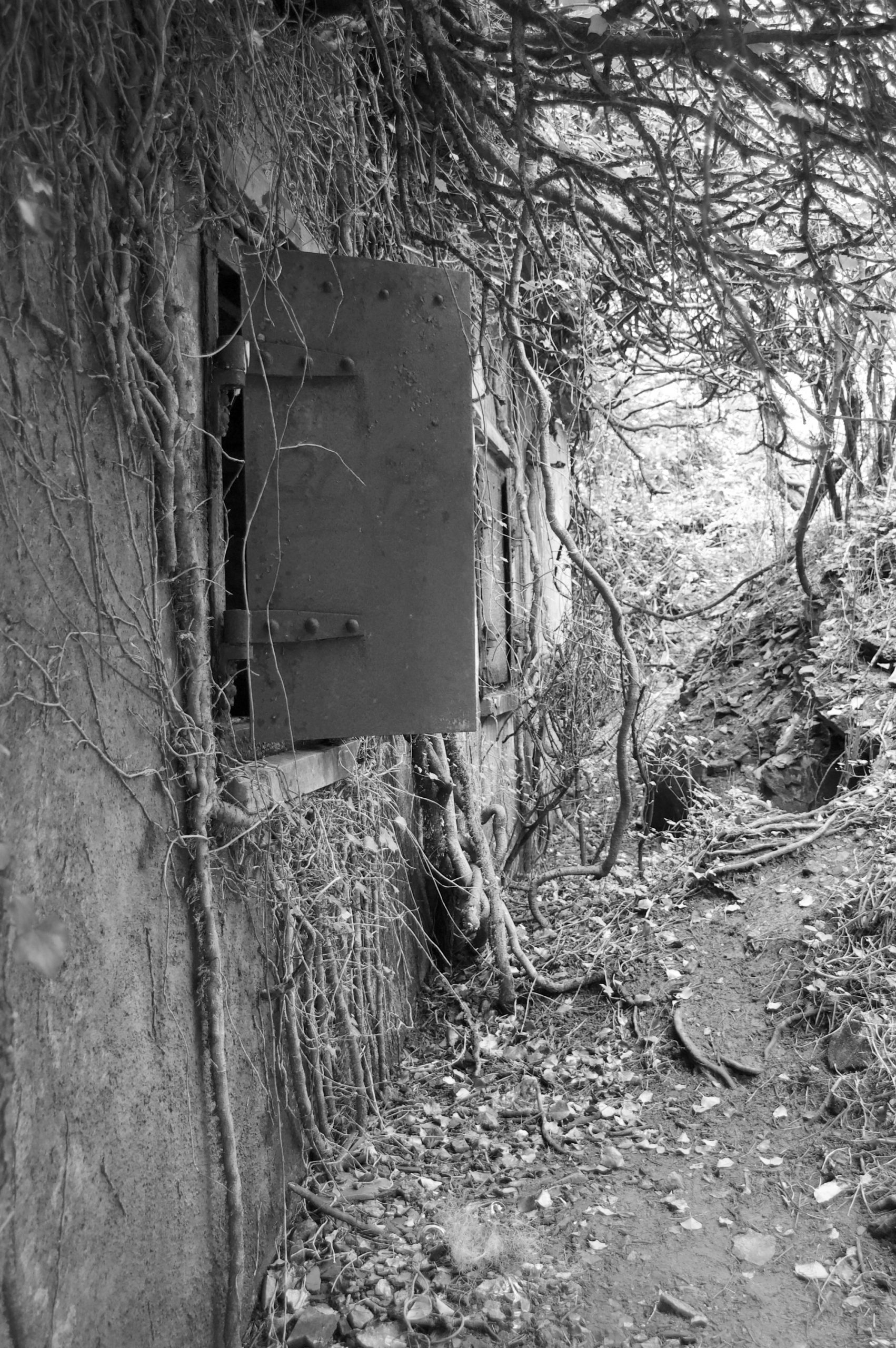 Padstow Shelter