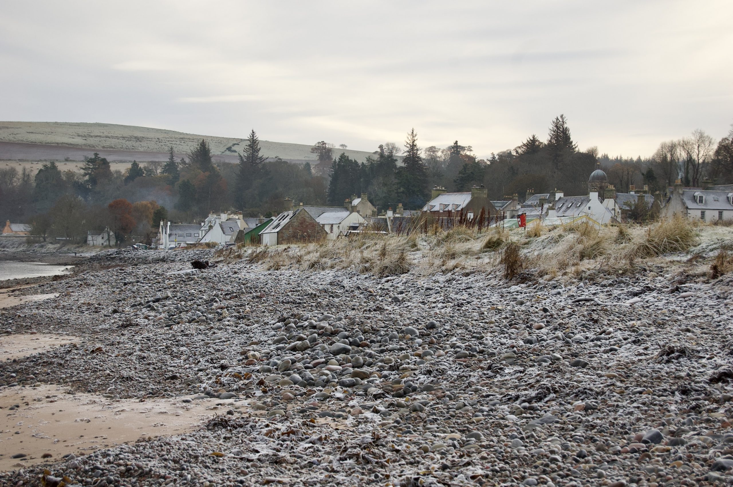 Frozen Beach