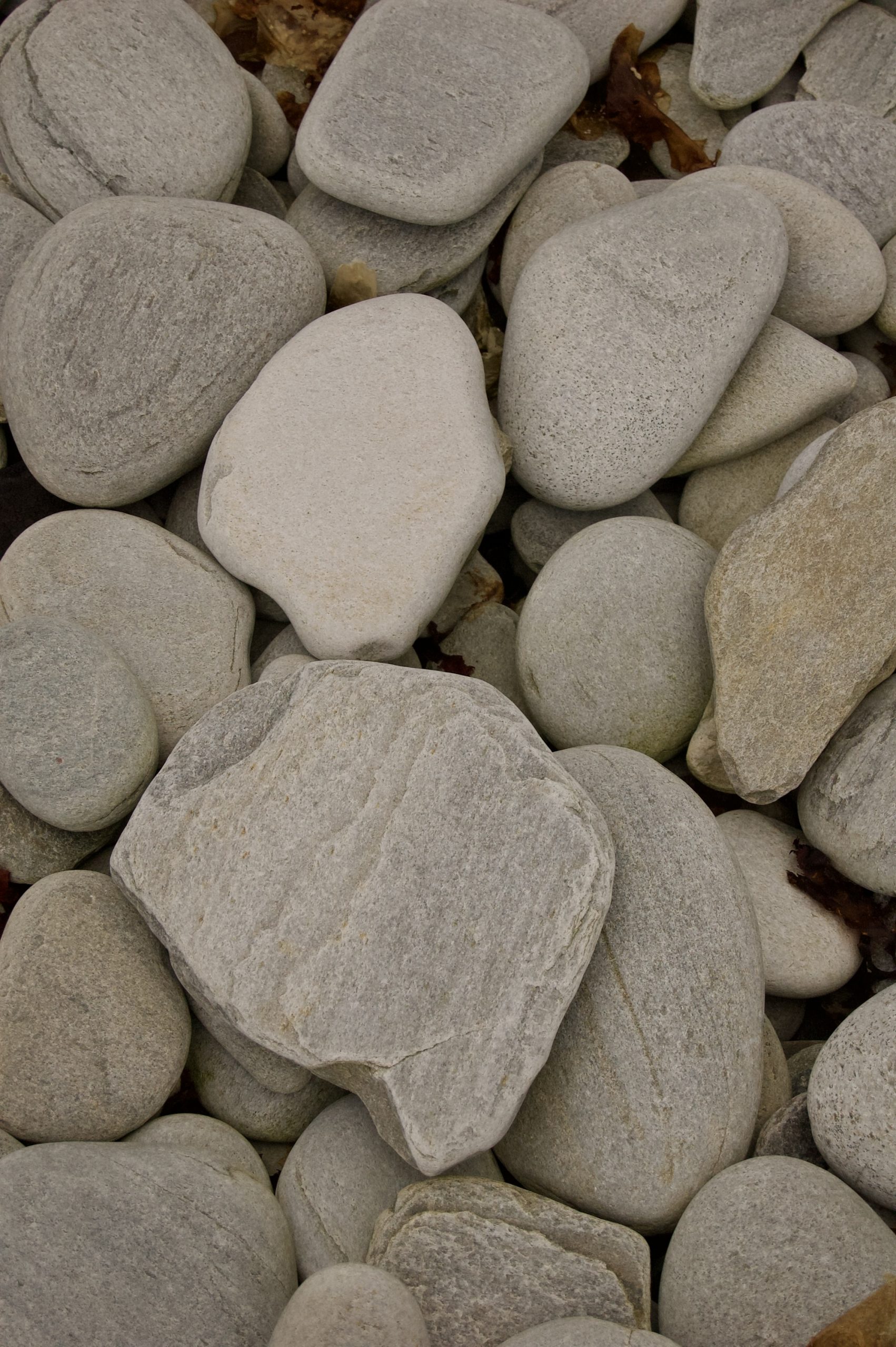 Loch Broom Pebbles