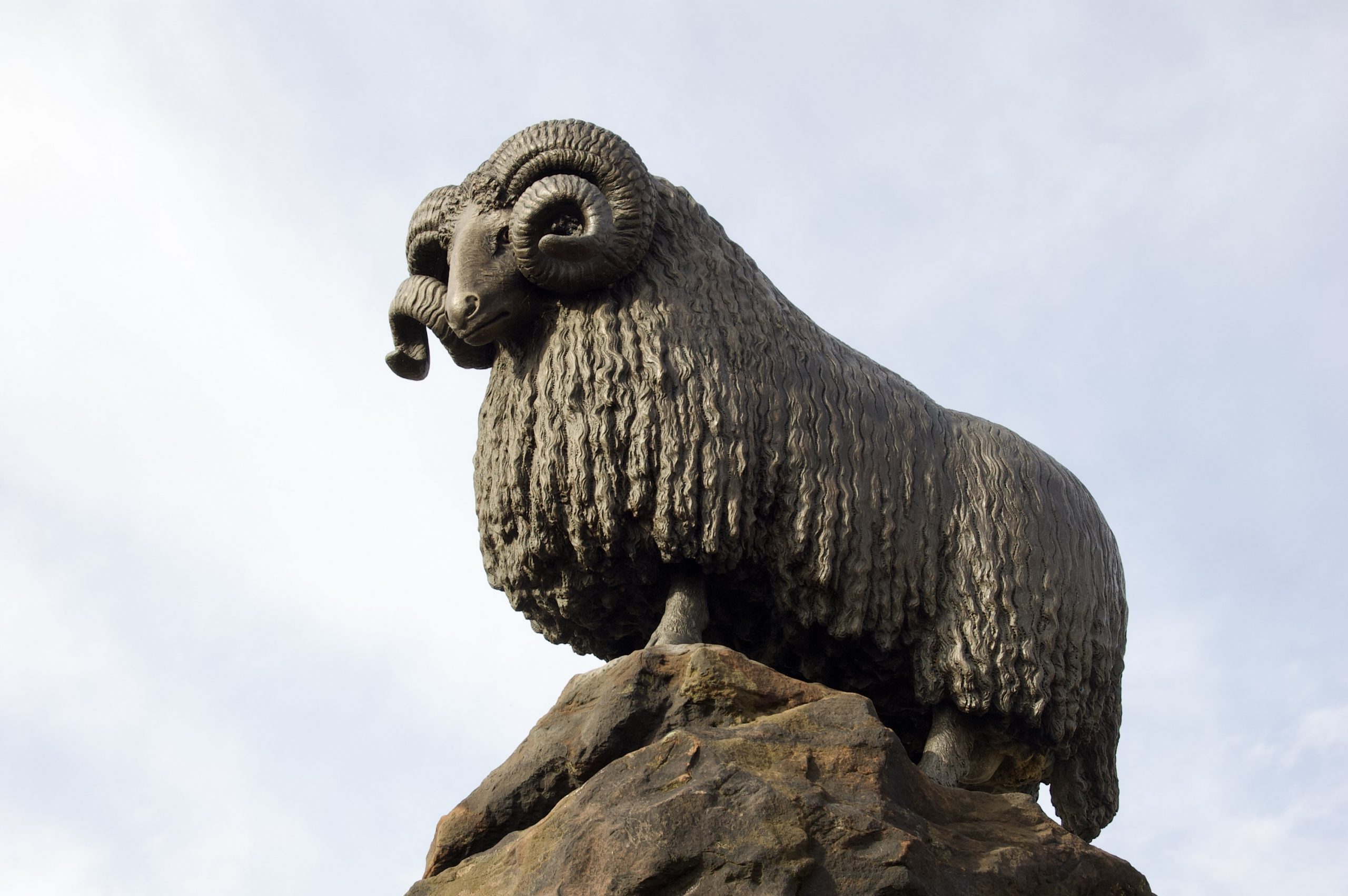 The Moffat Ram