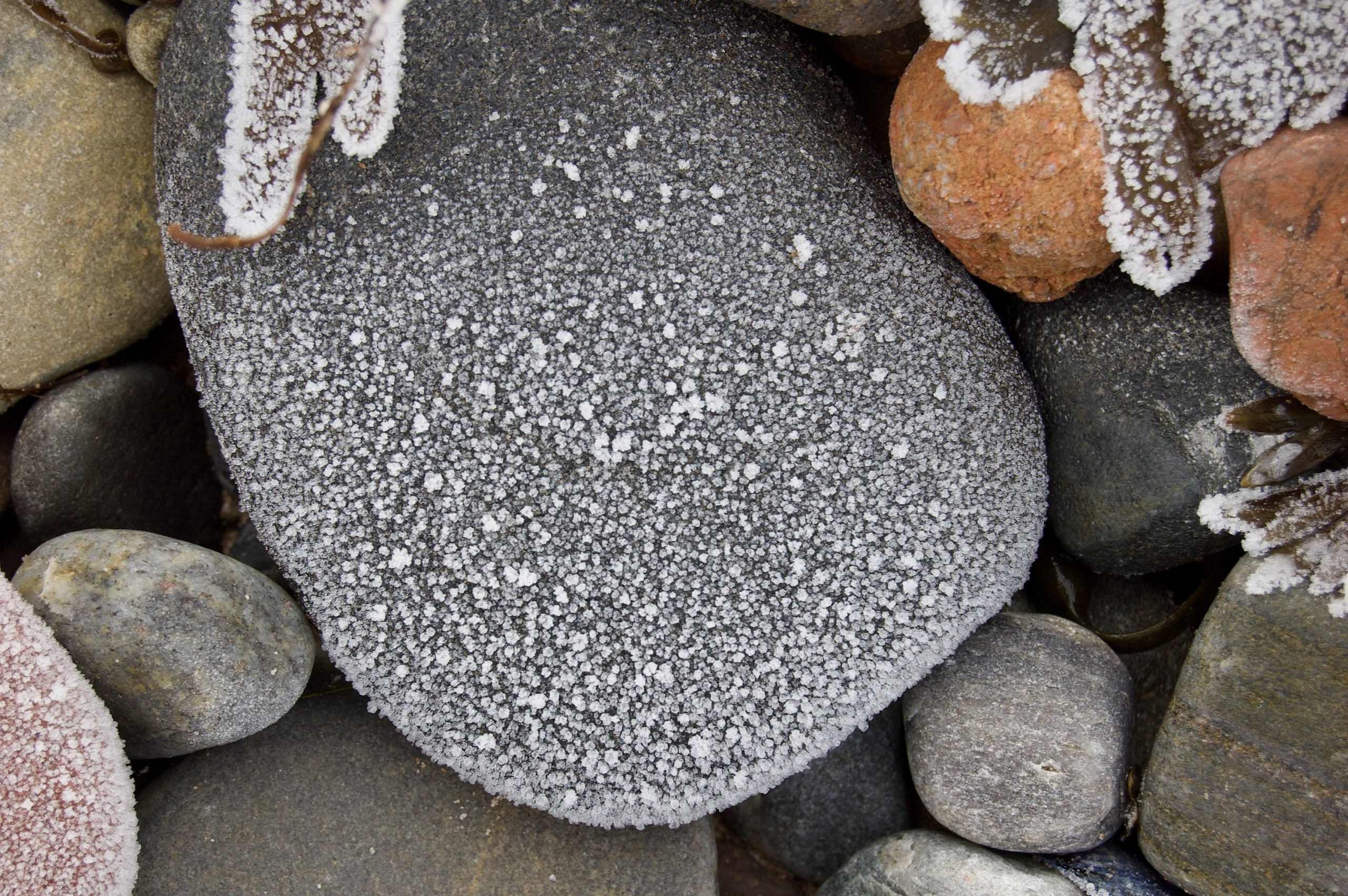 Frozen Beach
