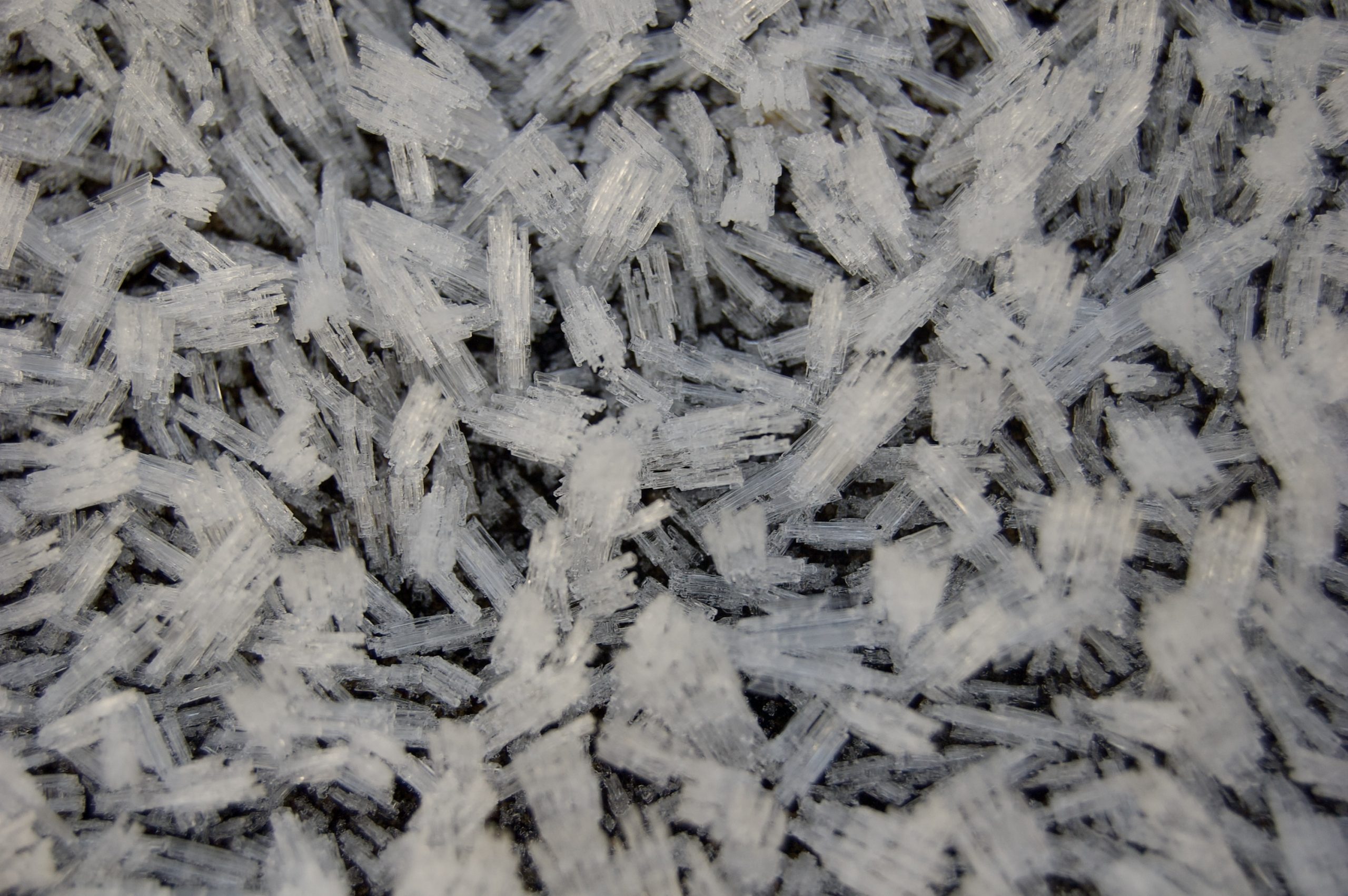 Inveraray Frost