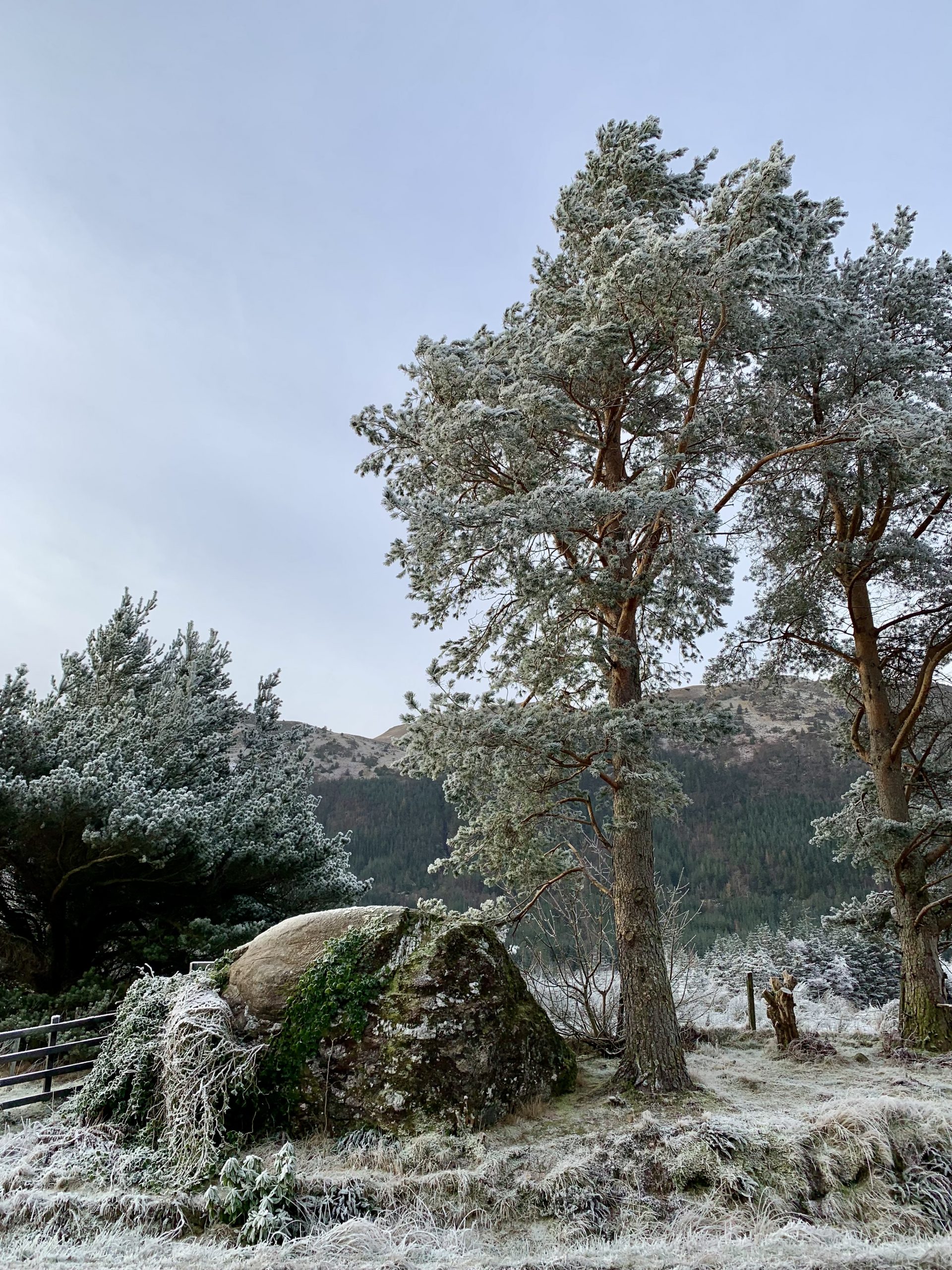 Glen Nevis