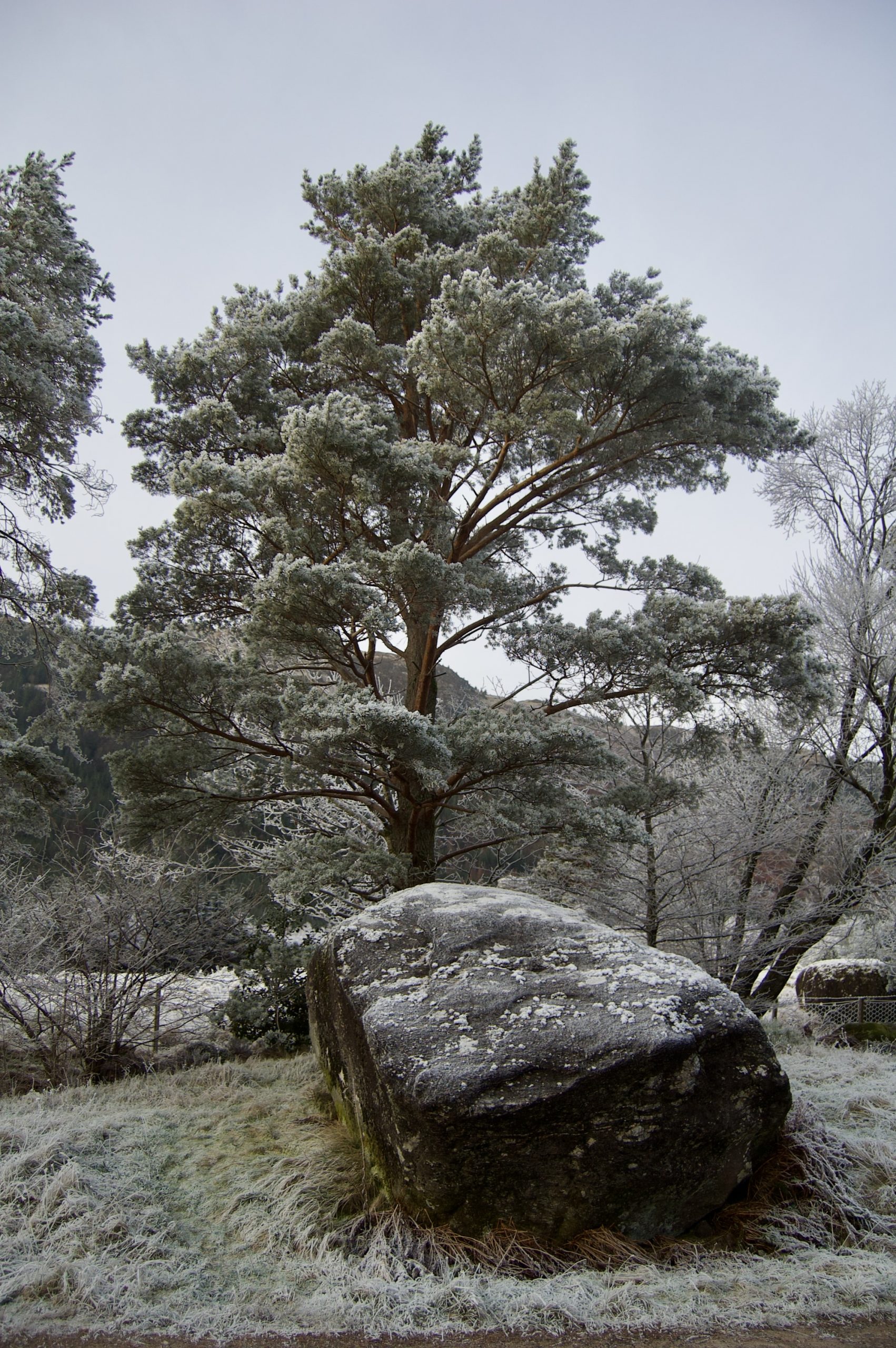 Glen Nevis
