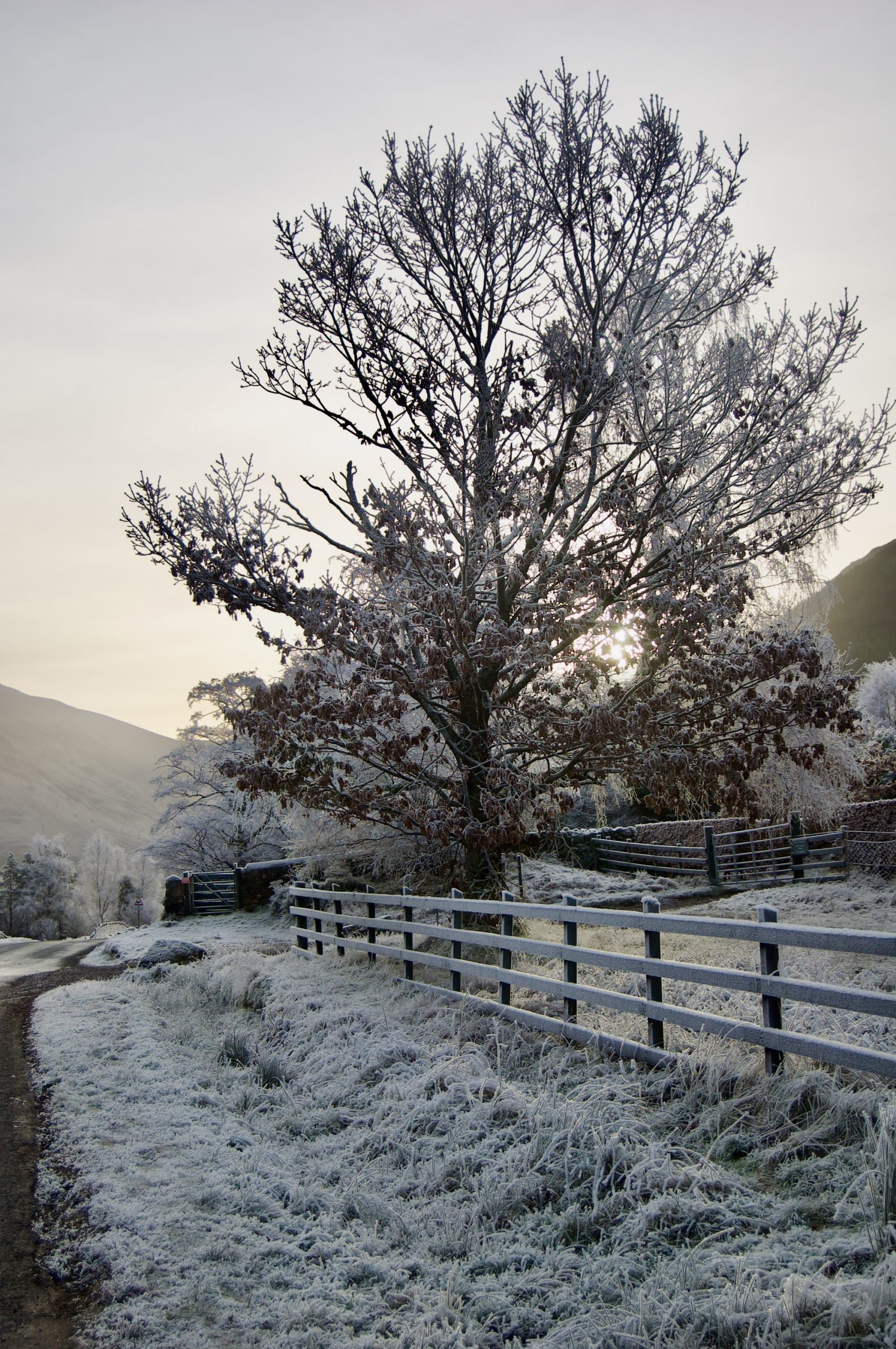 Glen Nevis