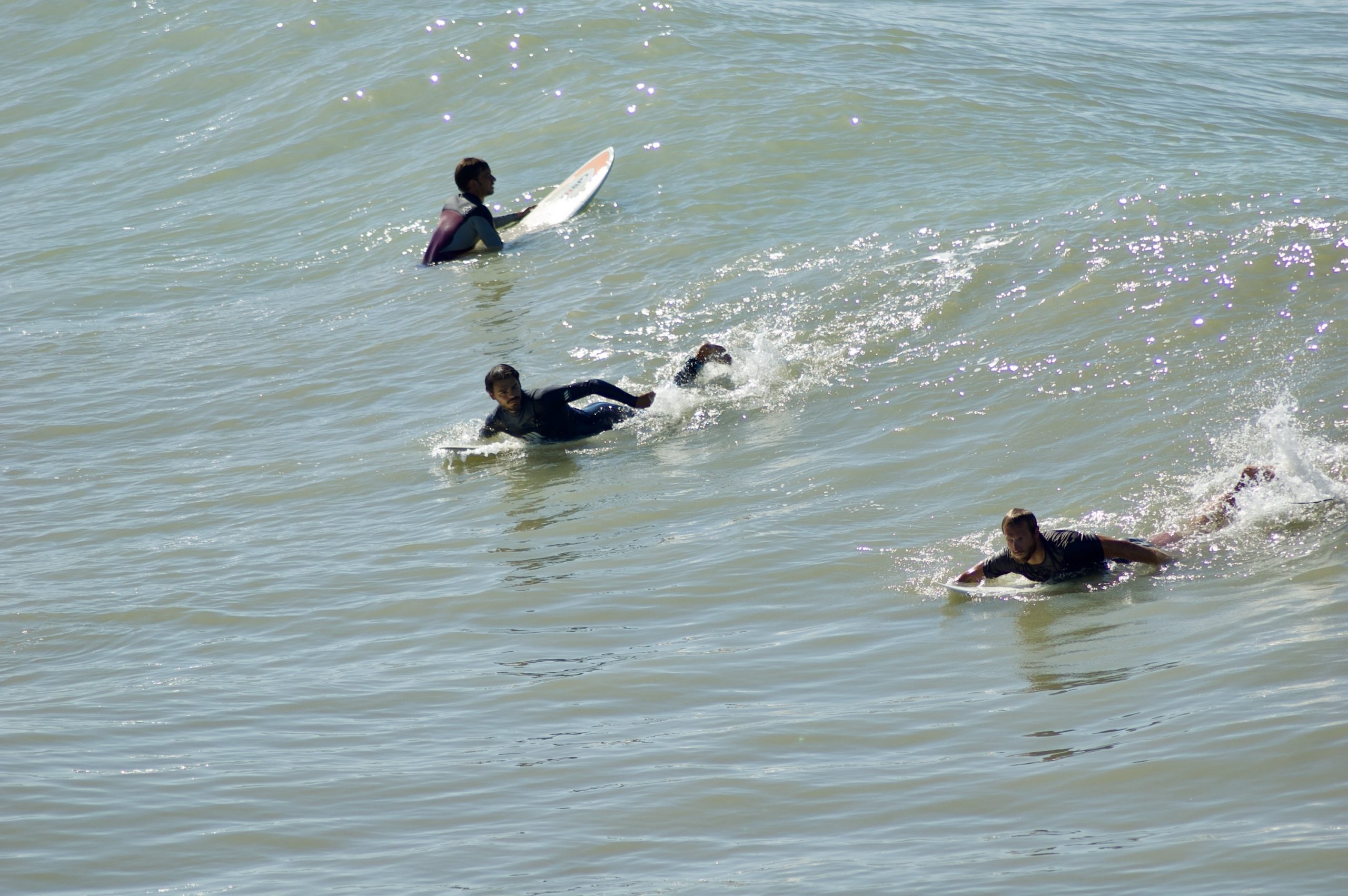 Tuscan Surfers