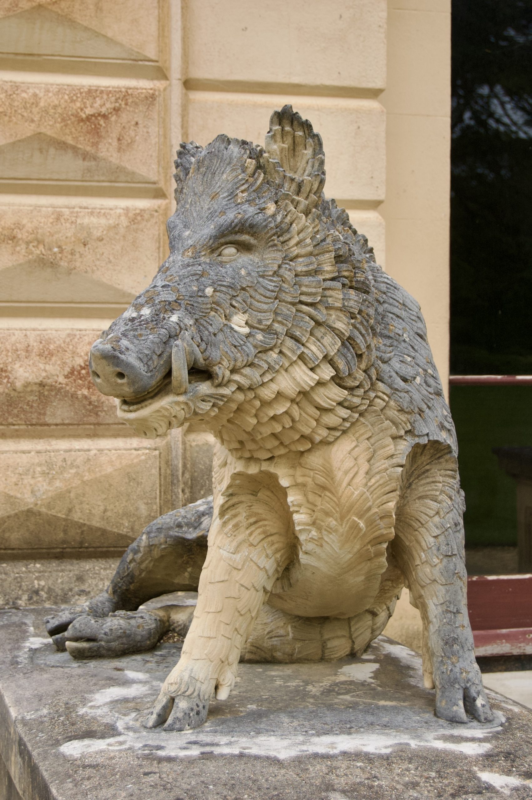 Caledonian Boar