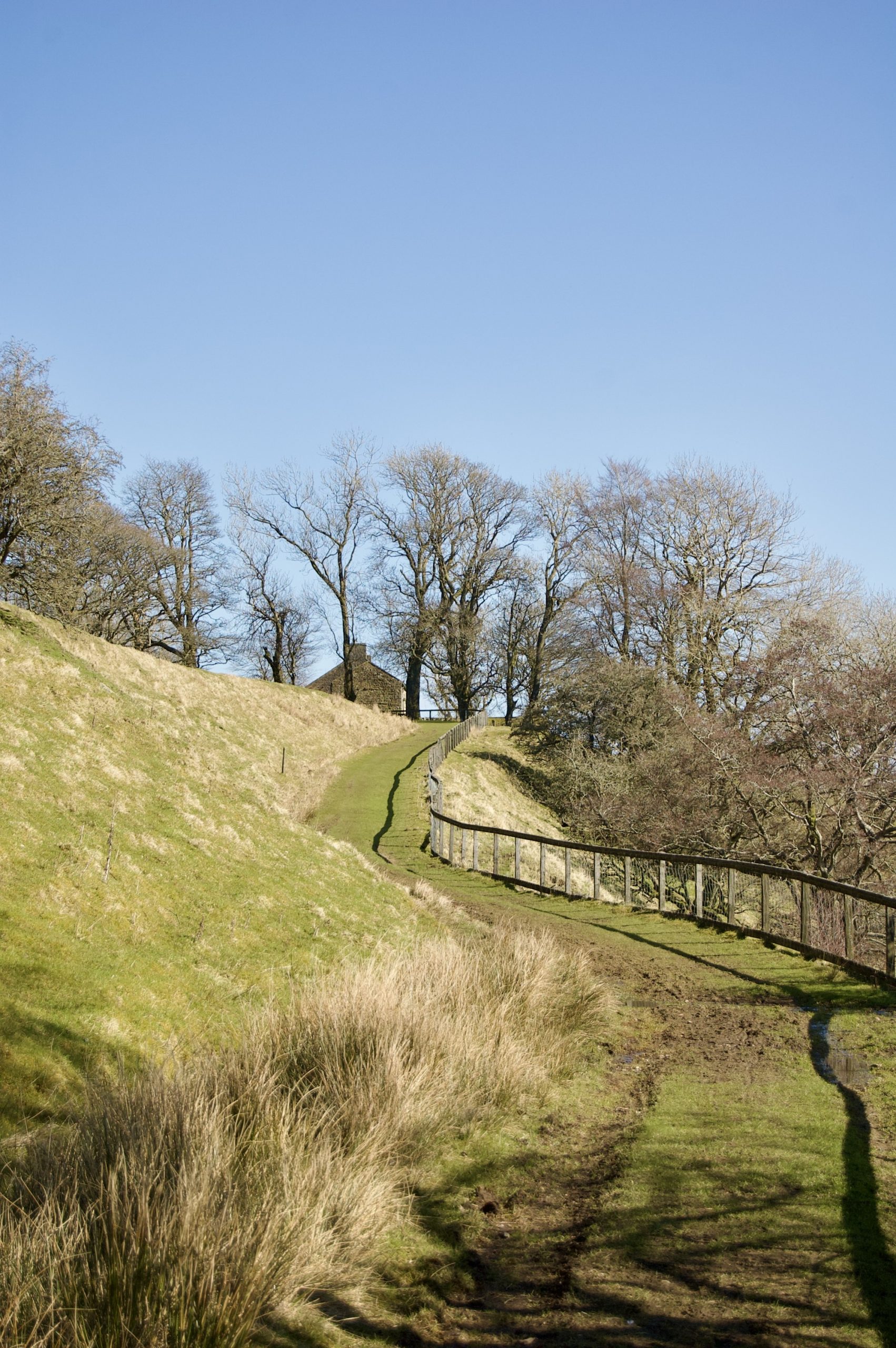 The New Road