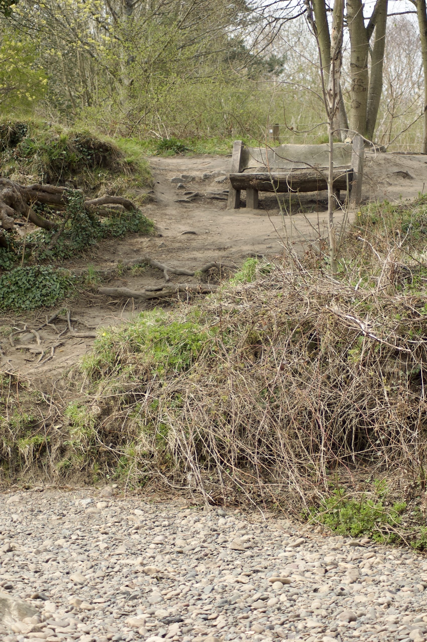 The Seat on the Bank