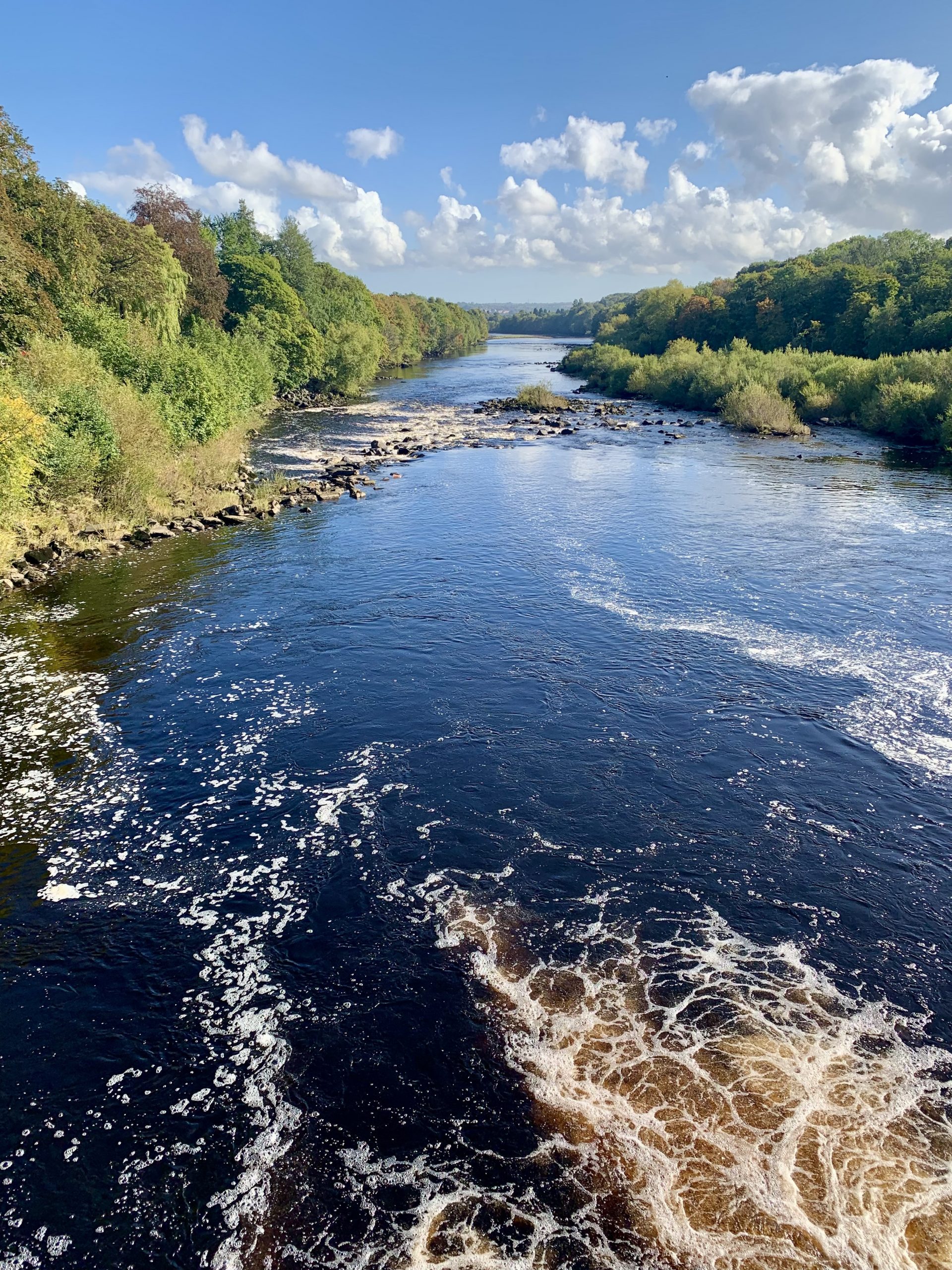 The Tyne at Wylam