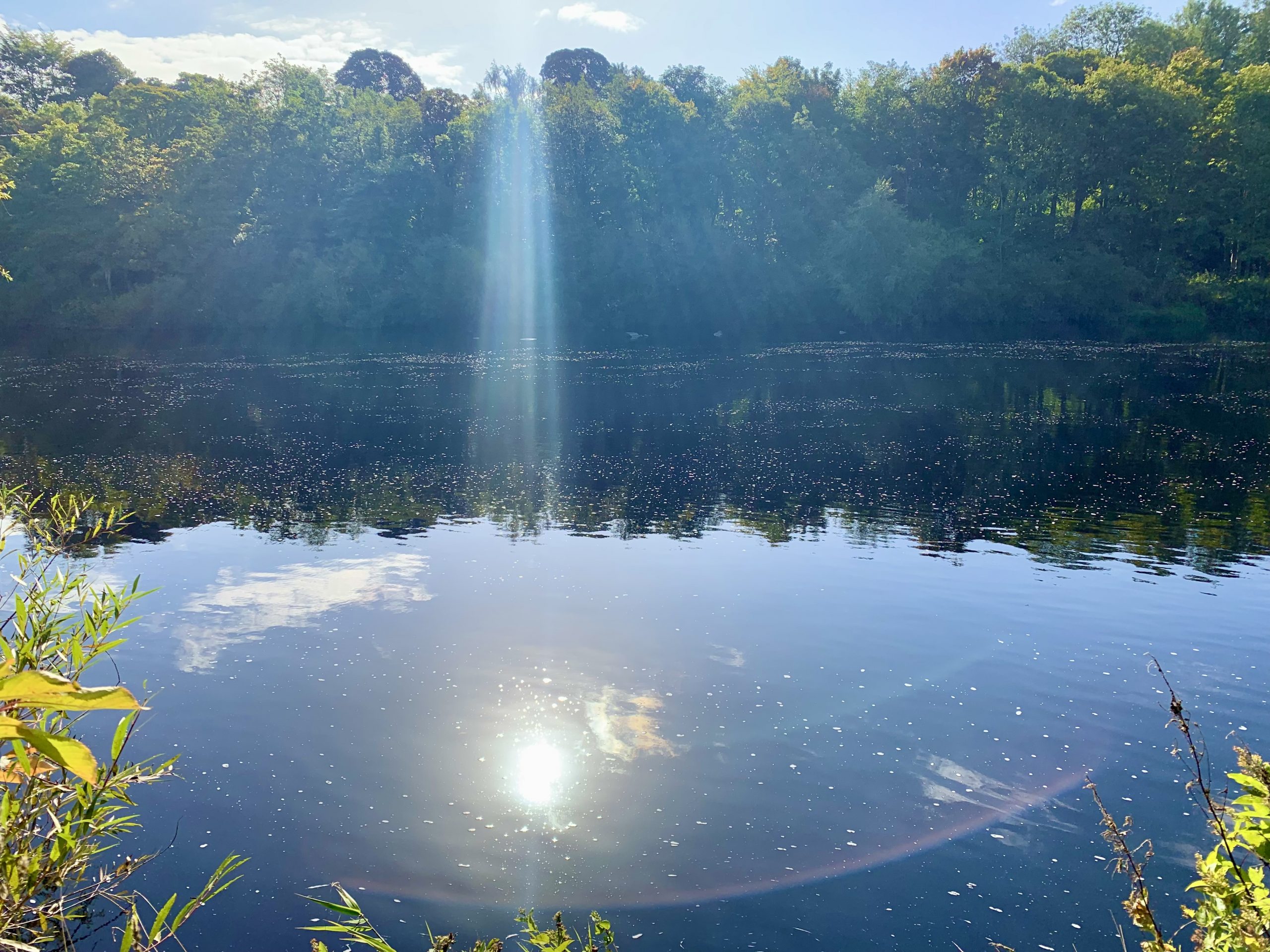 The Tyne at Wylam