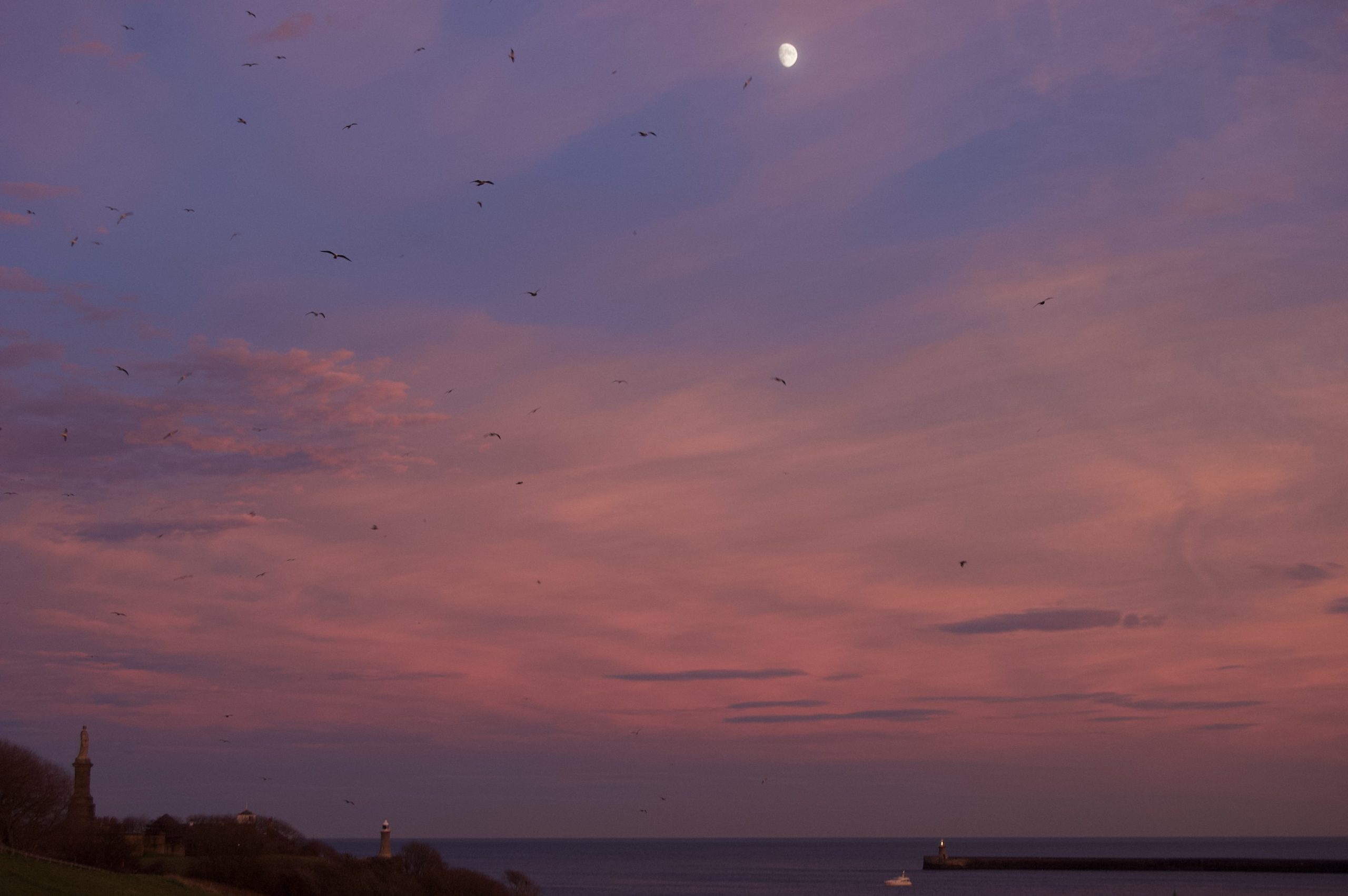 Shields at Sunset