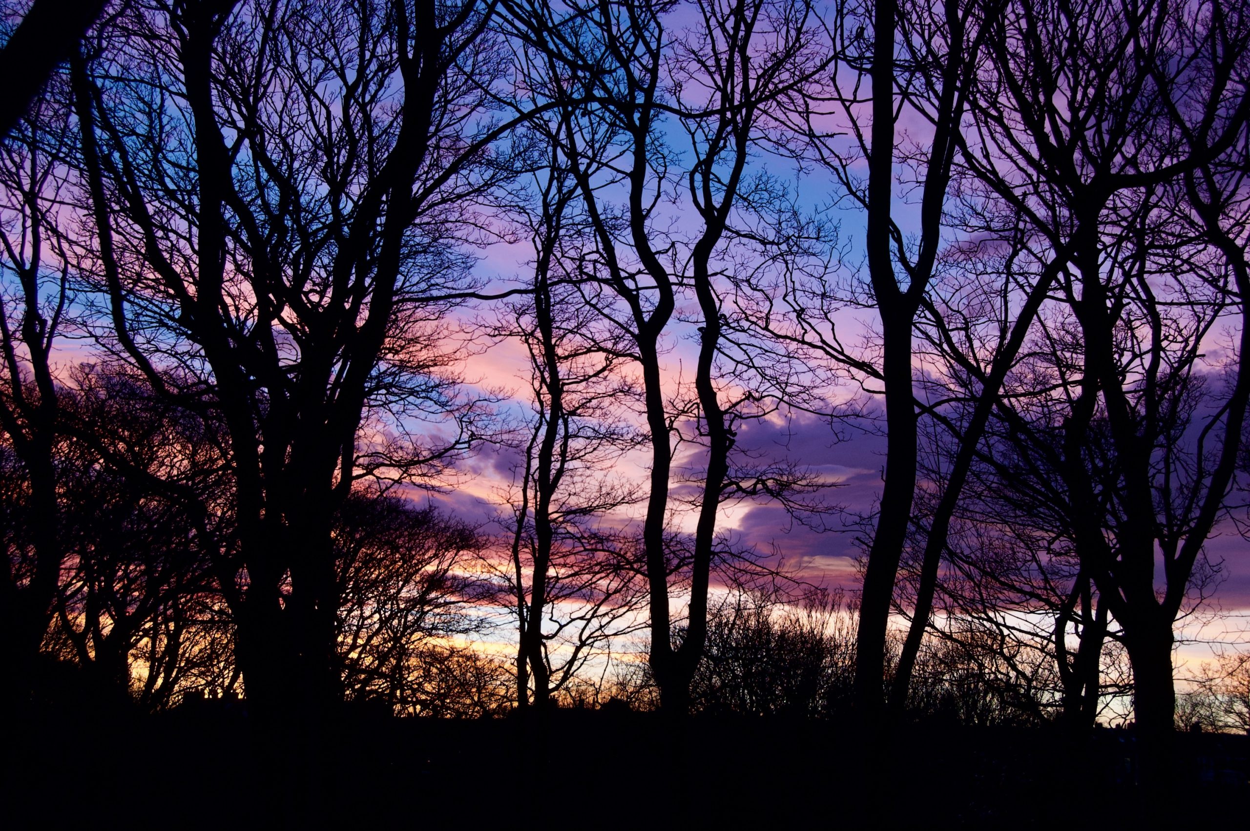 Shields at Sunset